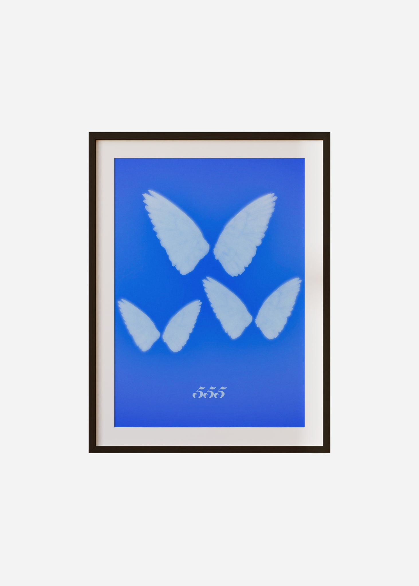 Angel Wings 555 Framed & Mounted Print