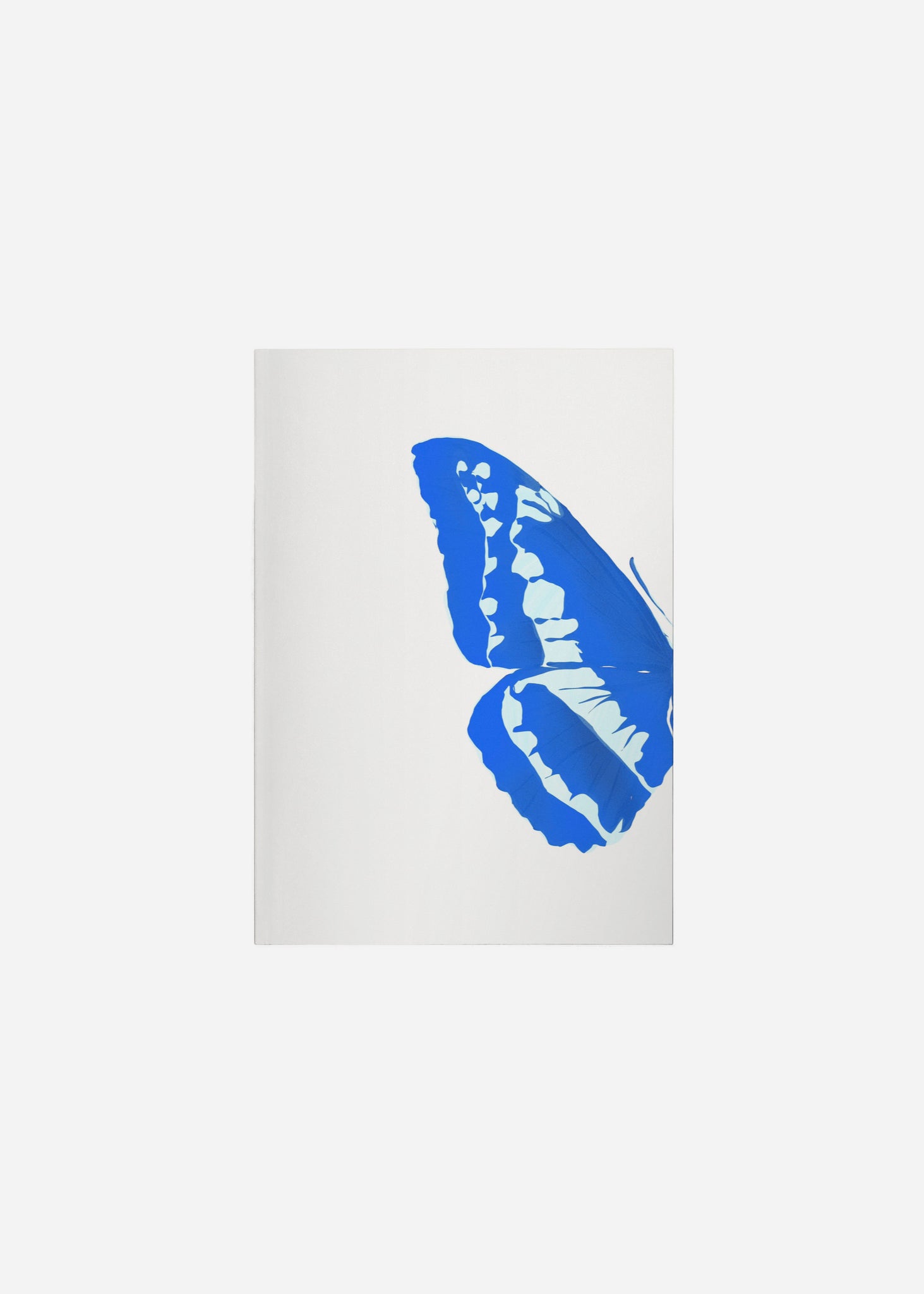 Butterfly Wings / Blue Morpho 1/2 Fine Art Print