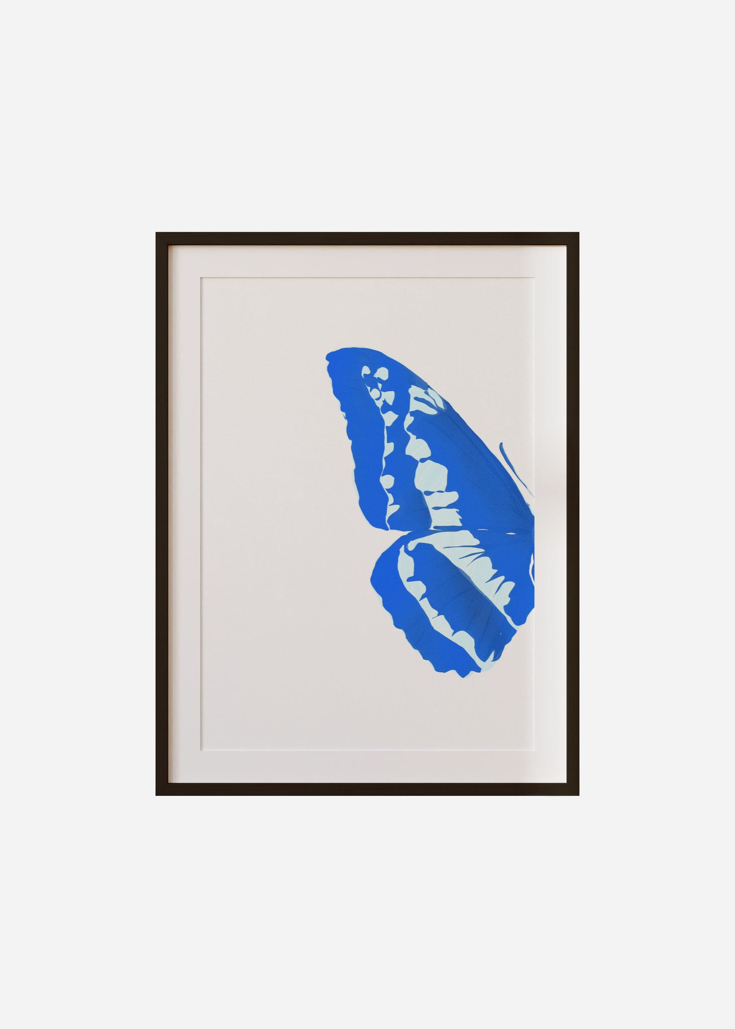 Butterfly Wings / Blue Morpho 1/2 Framed & Mounted Print