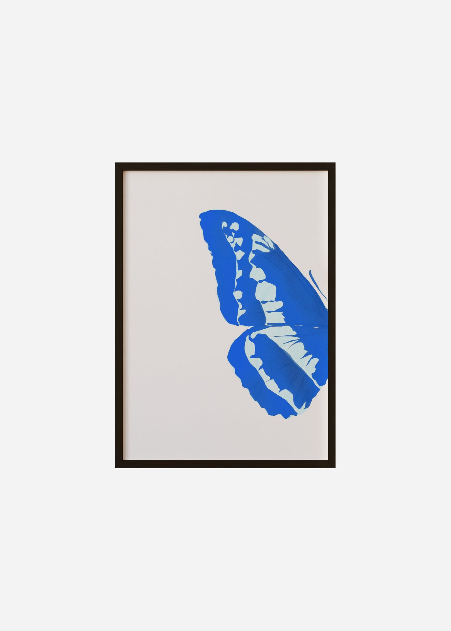 Butterfly Wings / Blue Morpho 1/2 Framed Print