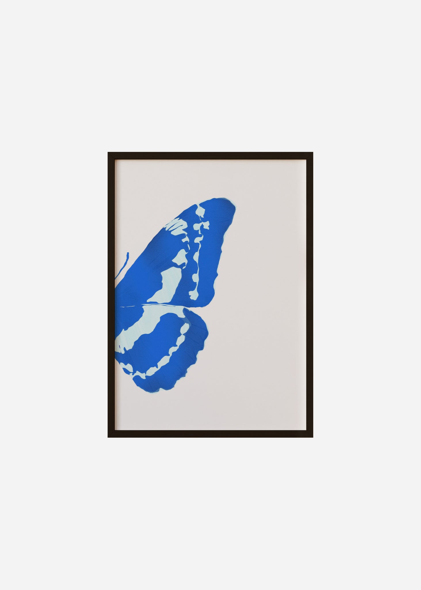 Butterfly Wings / Blue Morpho 2/2 Framed Print