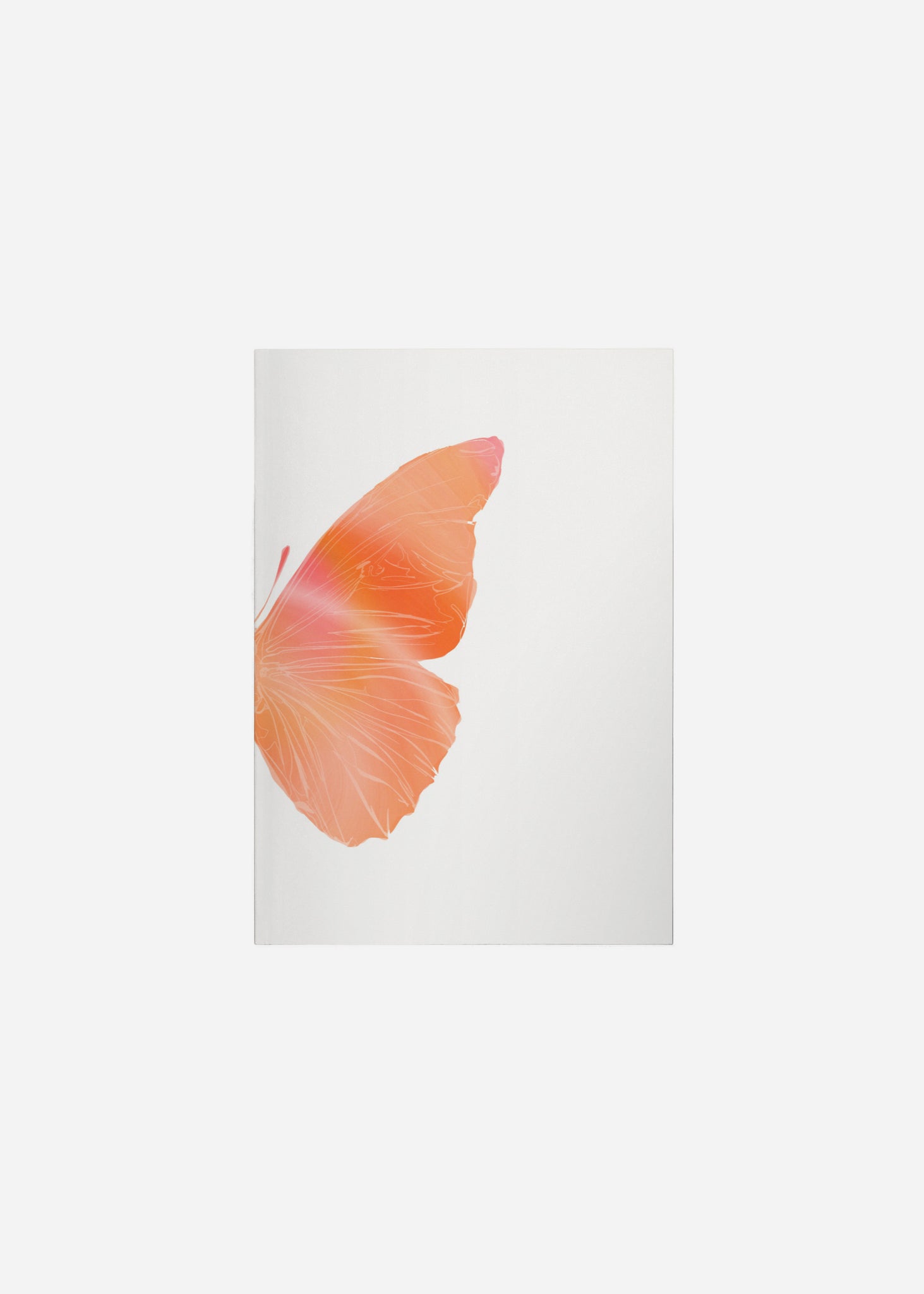 Butterfly Wings / Sunset Reflect 2/2 Fine Art Print