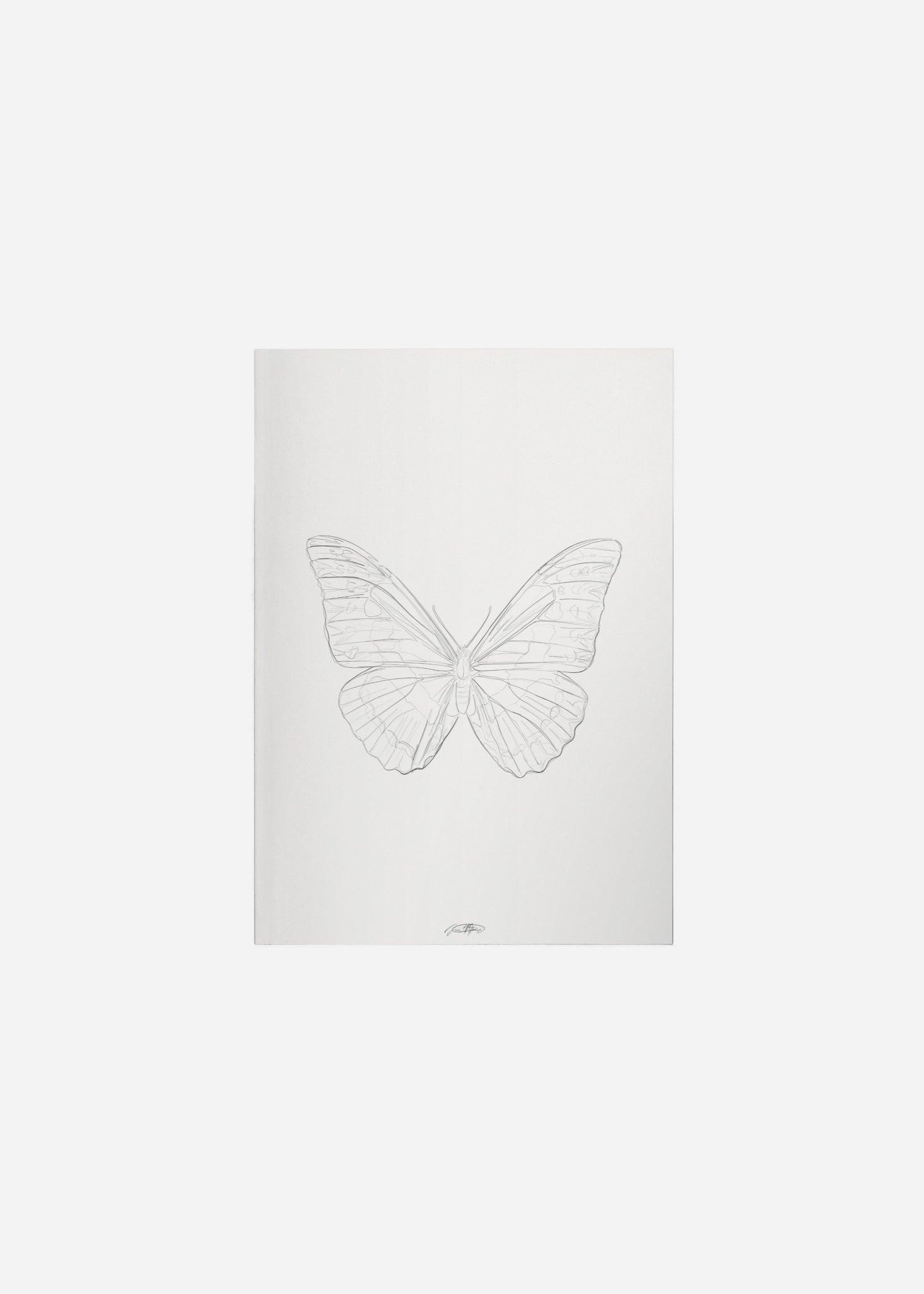 papillon III / line art n.32 Fine Art Print