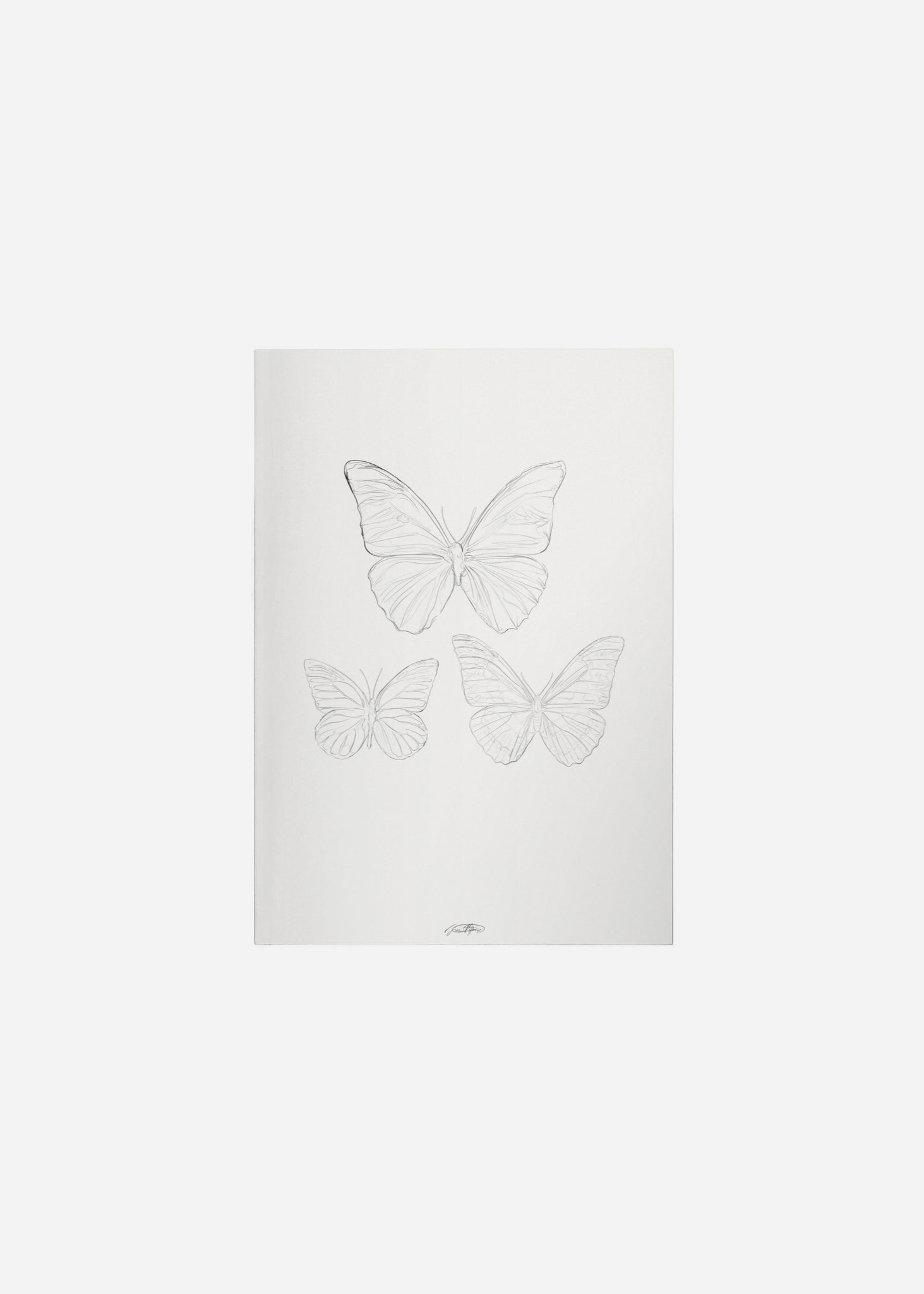 les papillons / line art n.37 Fine Art Print