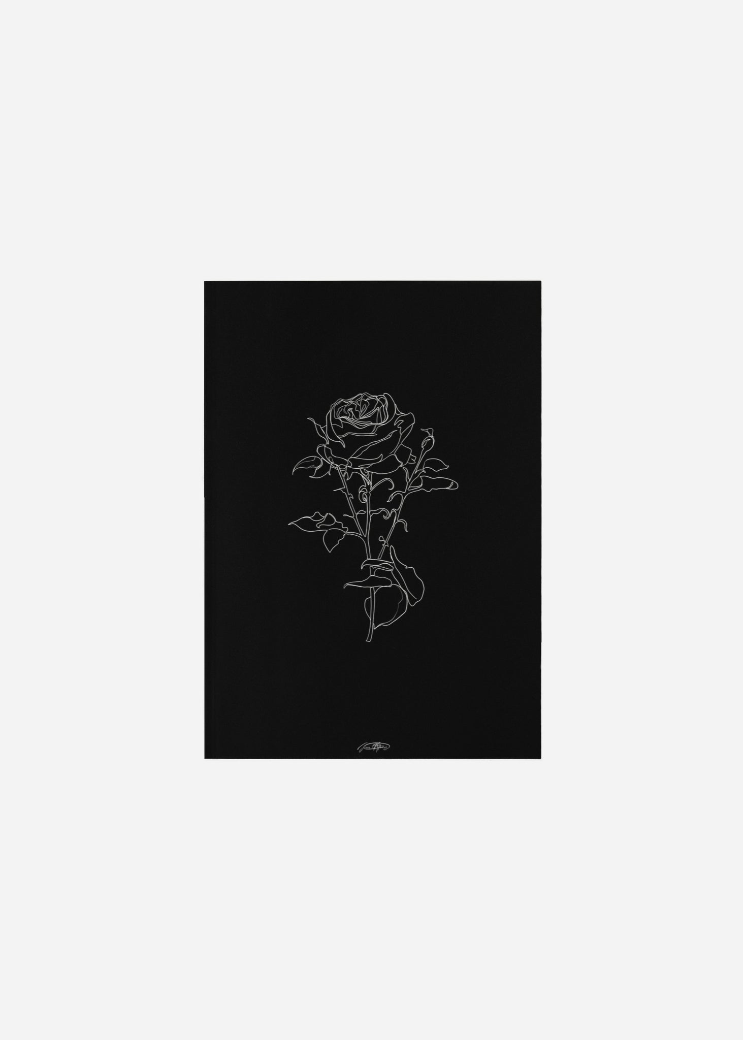 rose - noir / line art n.60 Fine Art Print