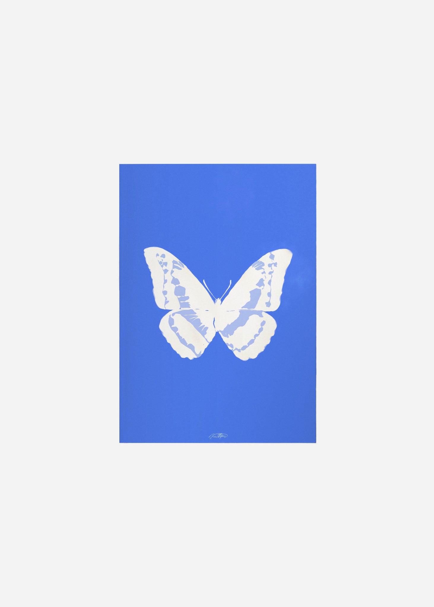 Butterflies / Psyche 023 Fine Art Print