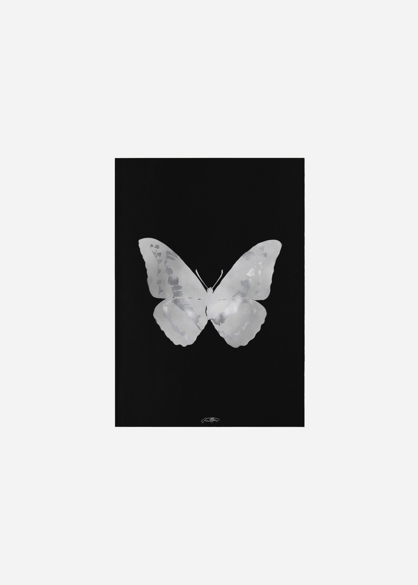 Butterflies / Psyche 024 Fine Art Print