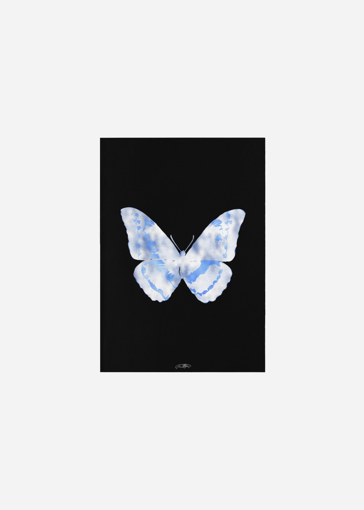 Butterflies / Psyche 030 Fine Art Print