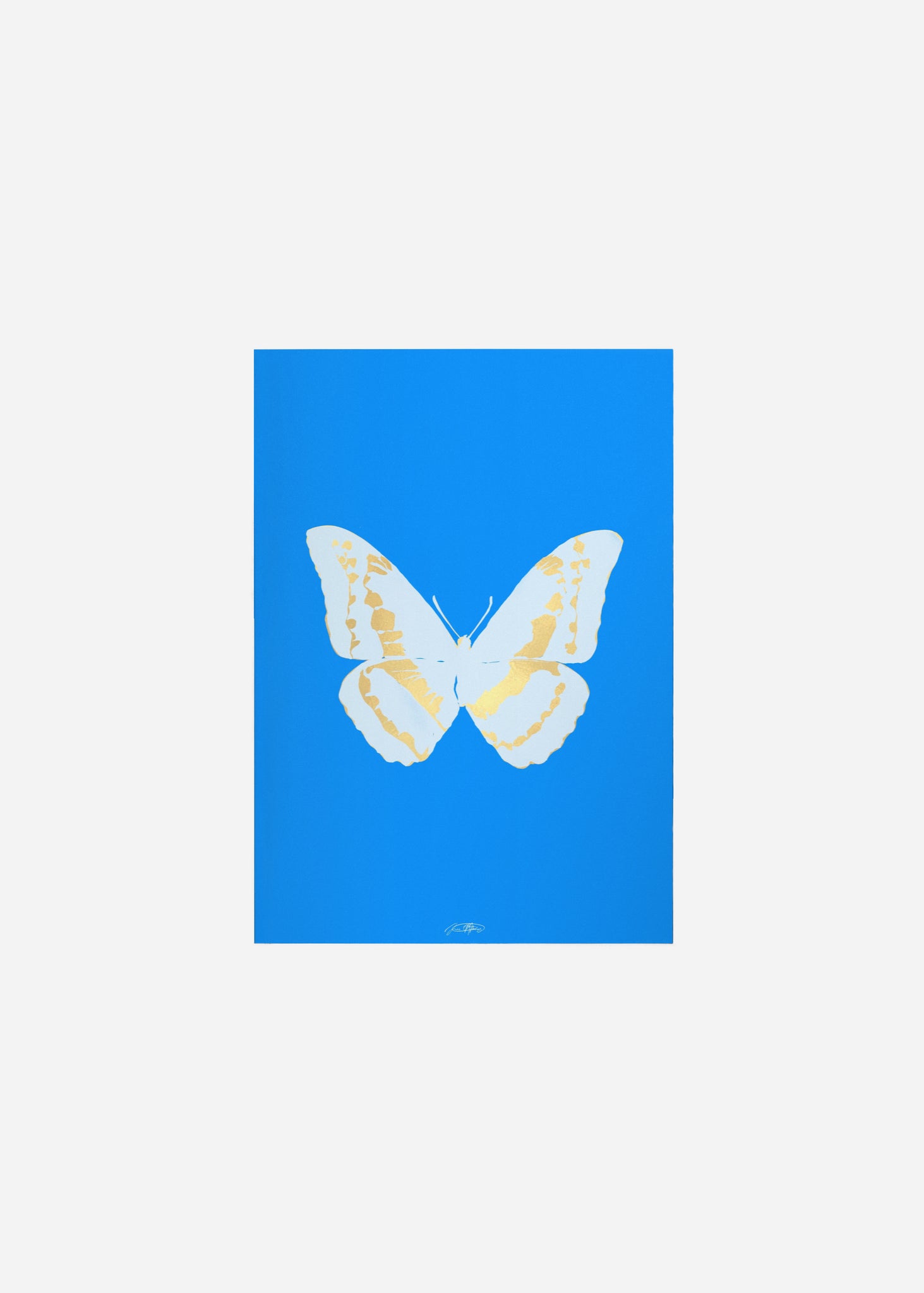 Butterflies / Psyche 033 Fine Art Print