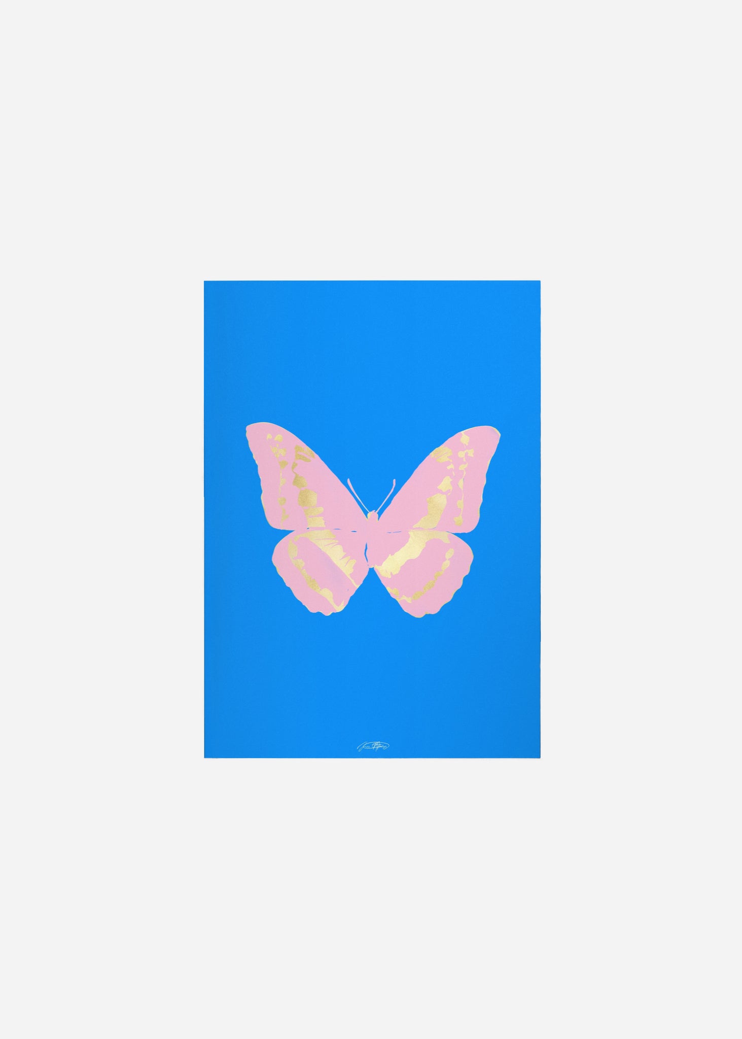 Butterflies / Psyche 035 Fine Art Print