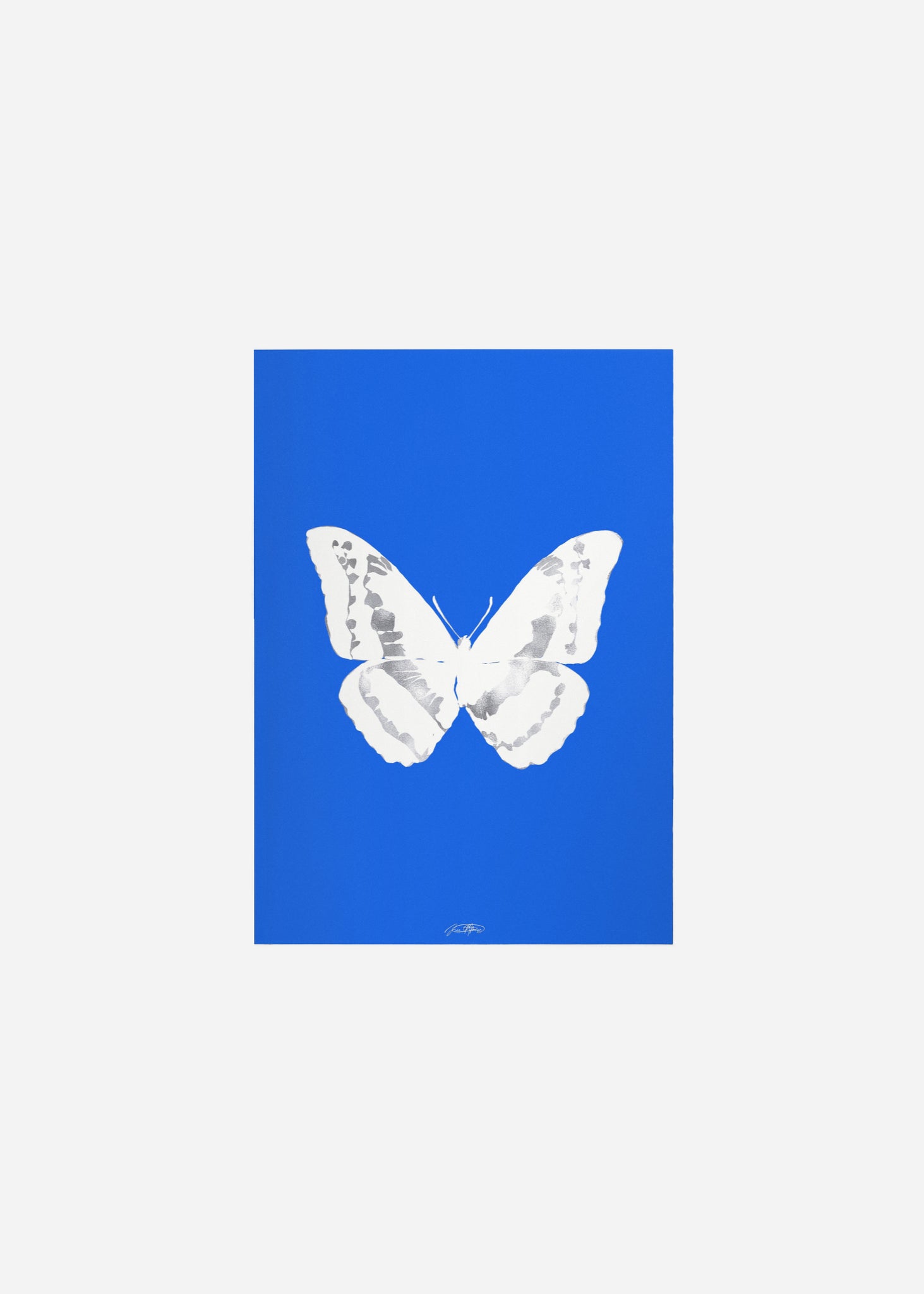 Butterflies / Psyche 038 Fine Art Print