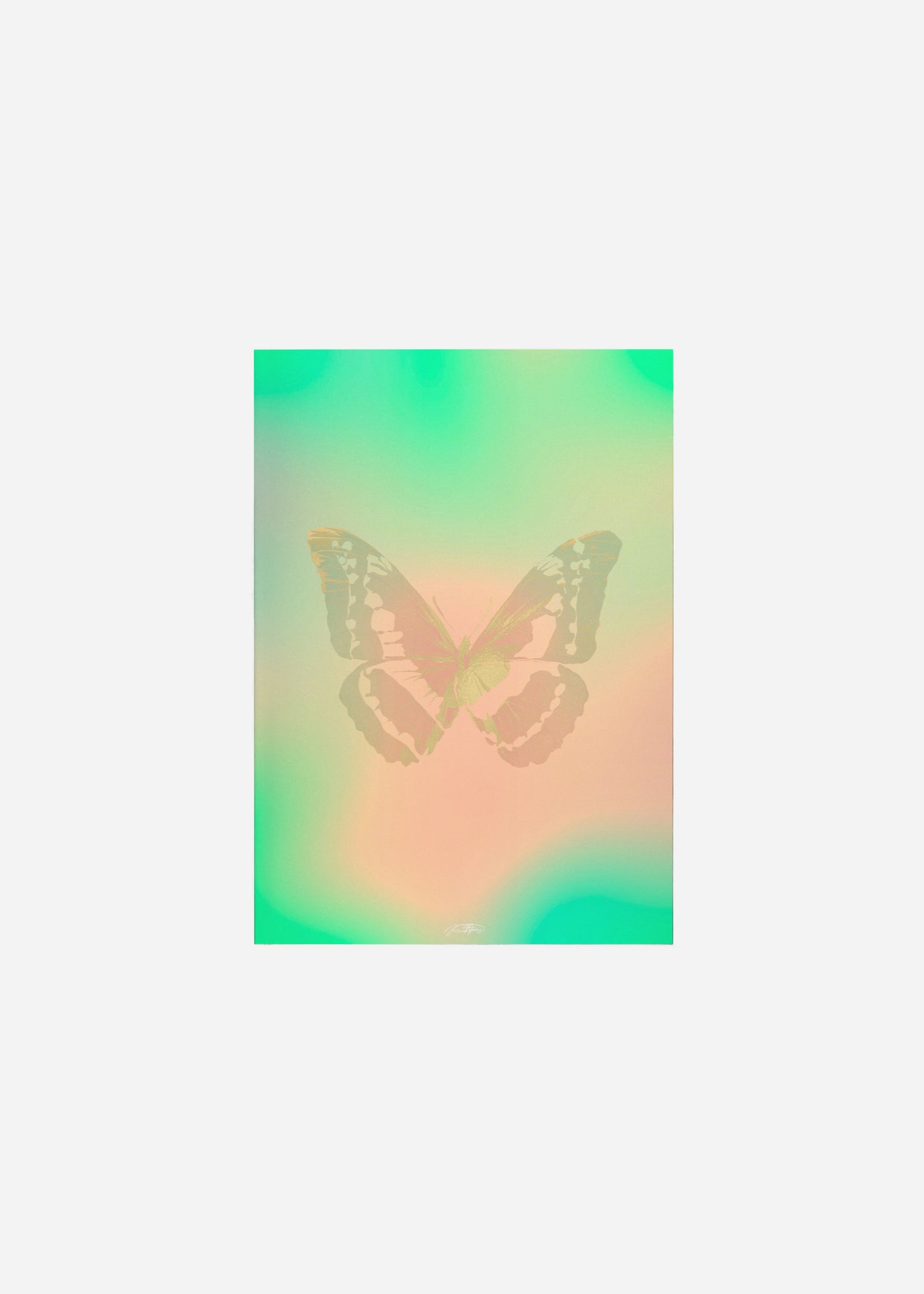 Butterflies / Psyche 072 Fine Art Print