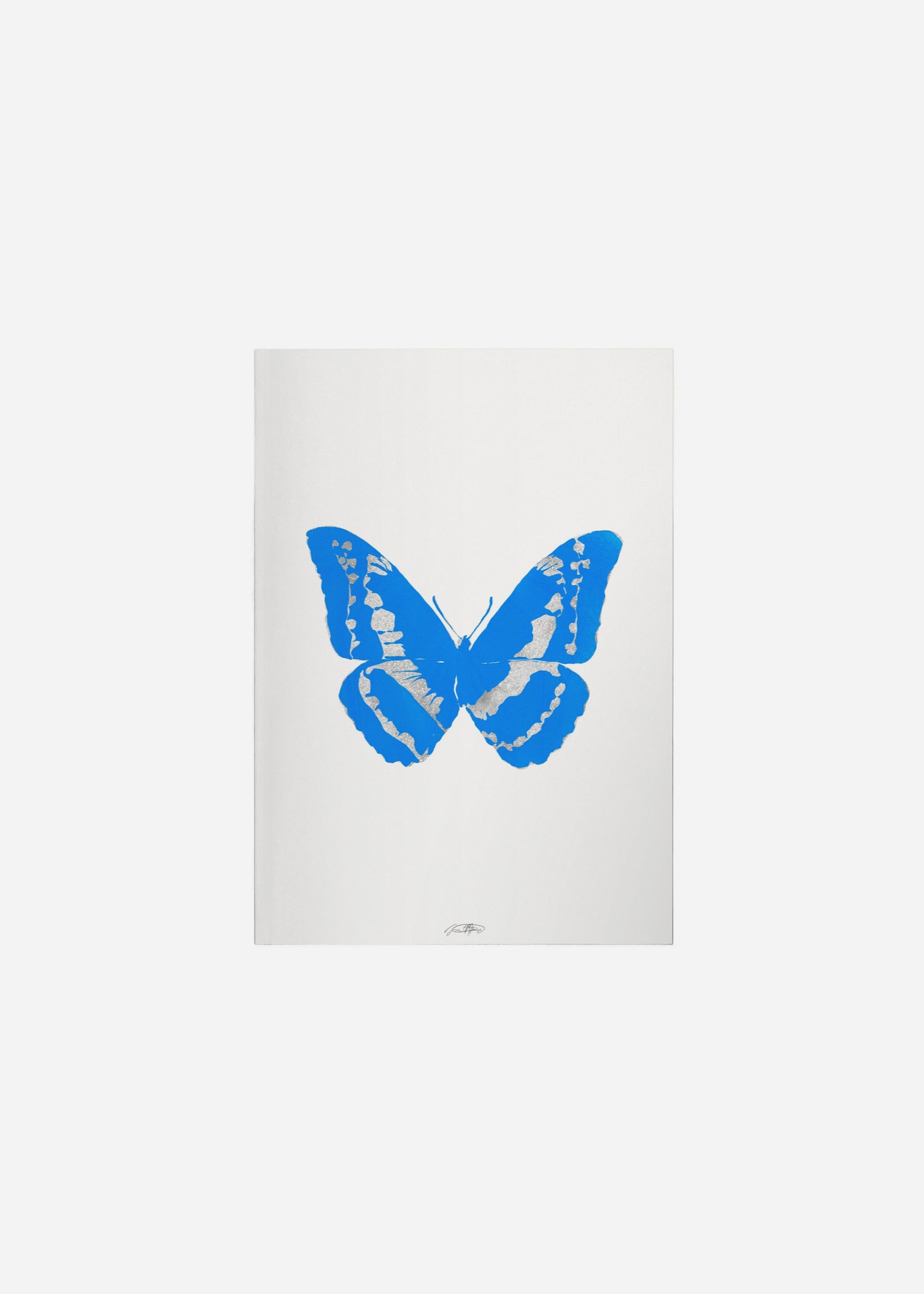 Butterflies / Psyche 081 Fine Art Print