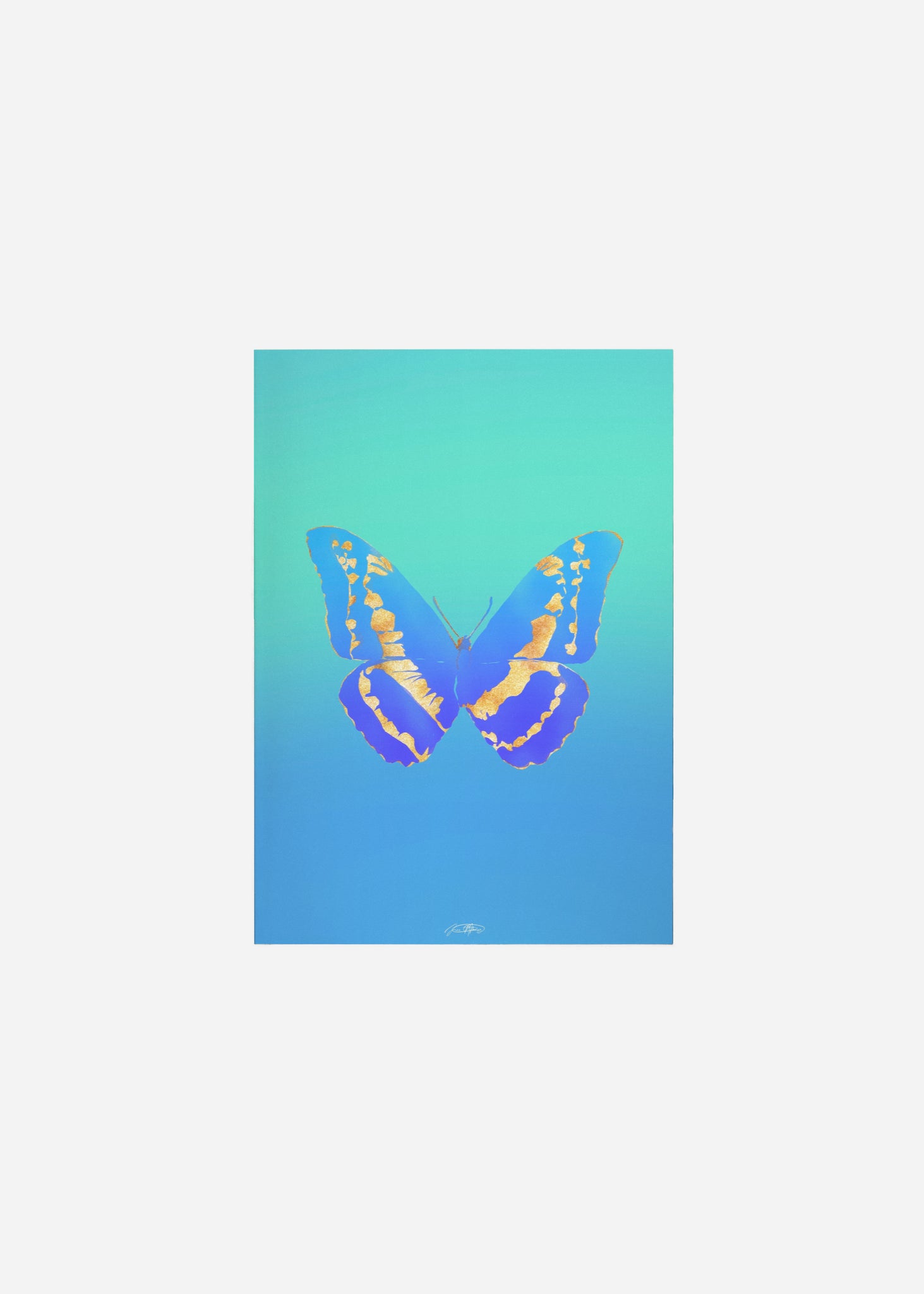 Butterflies / Psyche 107 Fine Art Print