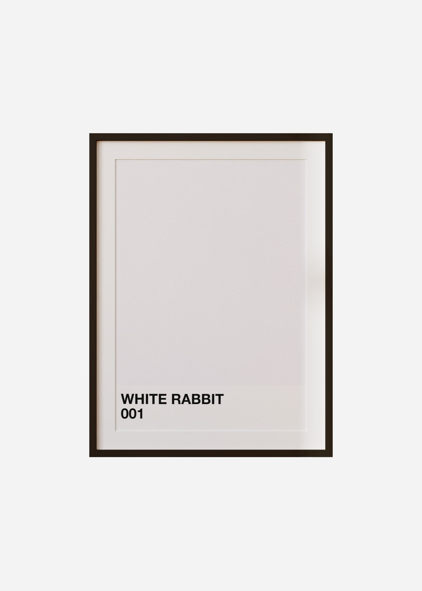 white rabbit Framed & Mounted Print