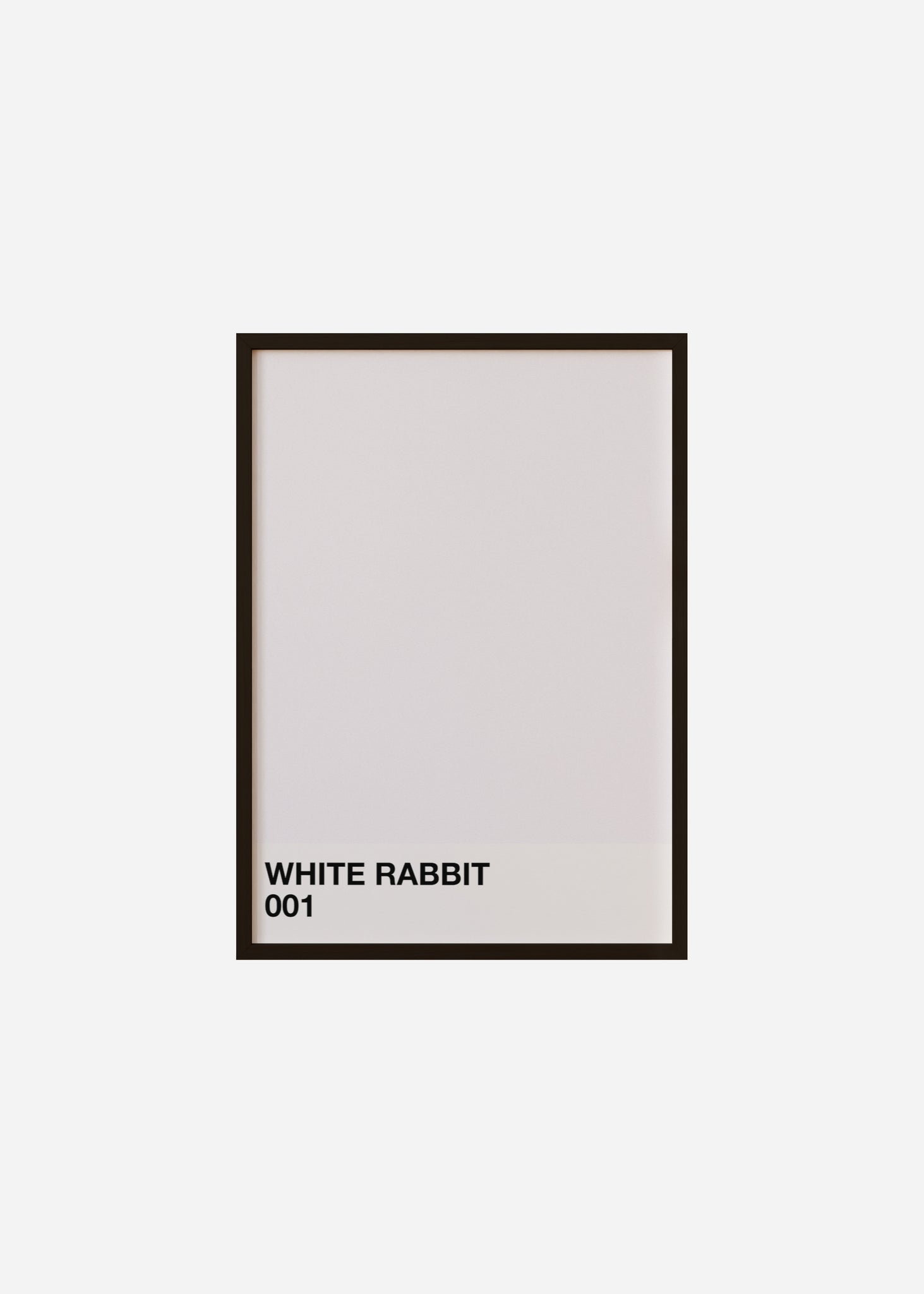 white rabbit Framed Print