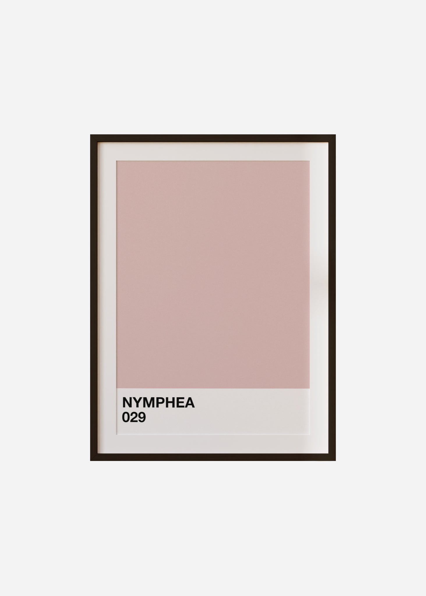 nymphea Framed & Mounted Print