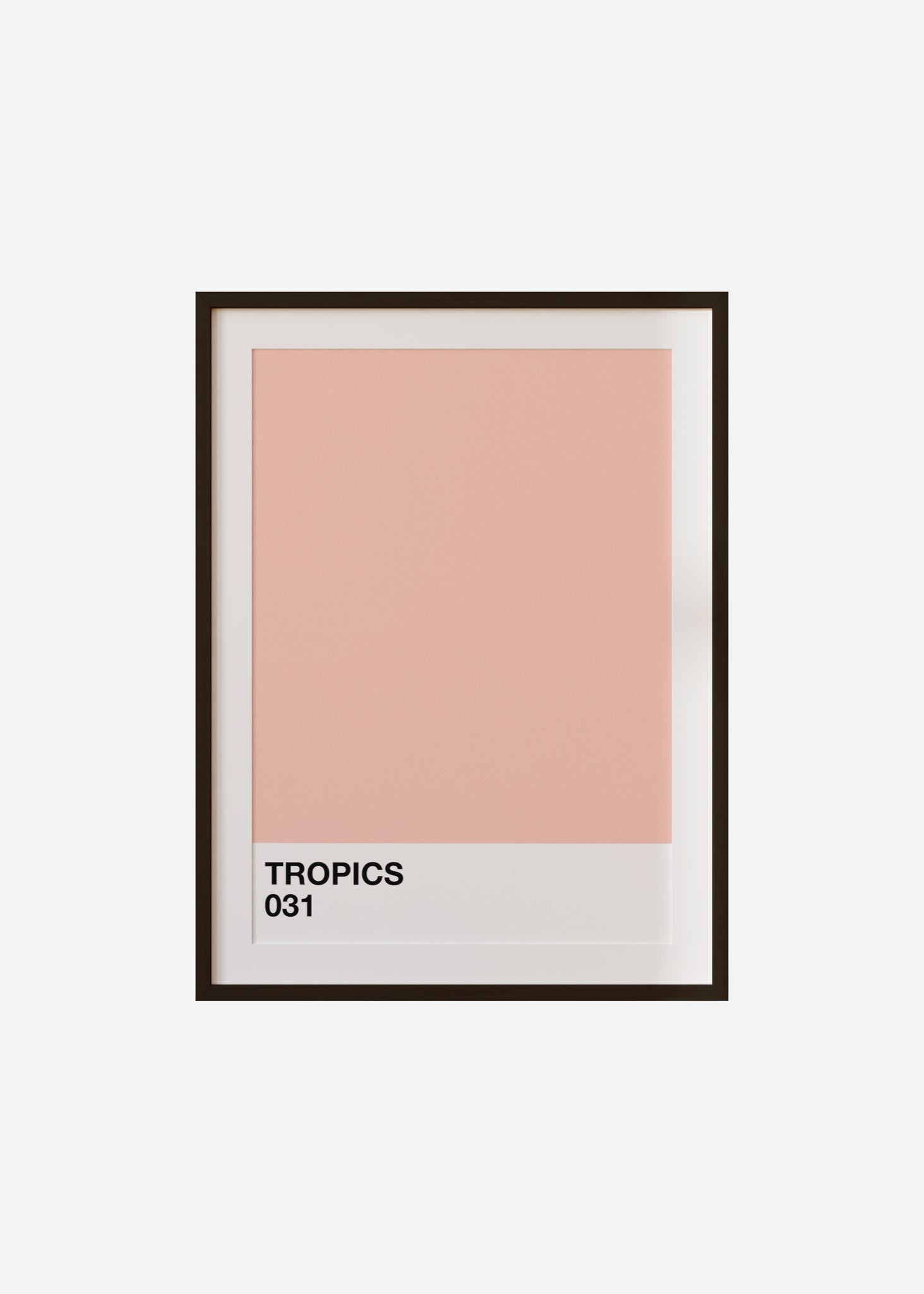 tropics Framed & Mounted Print