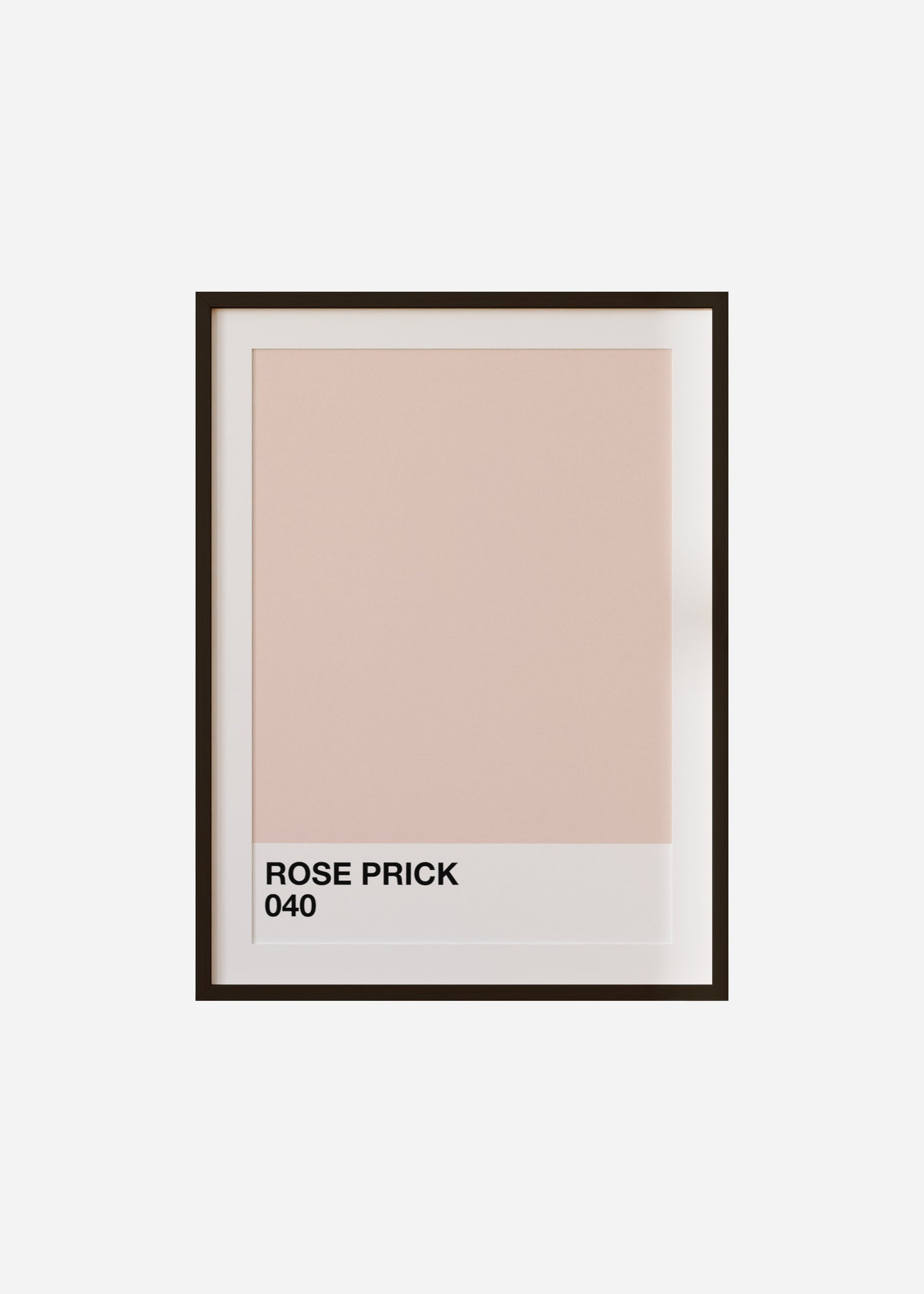 rose prick Framed & Mounted Print