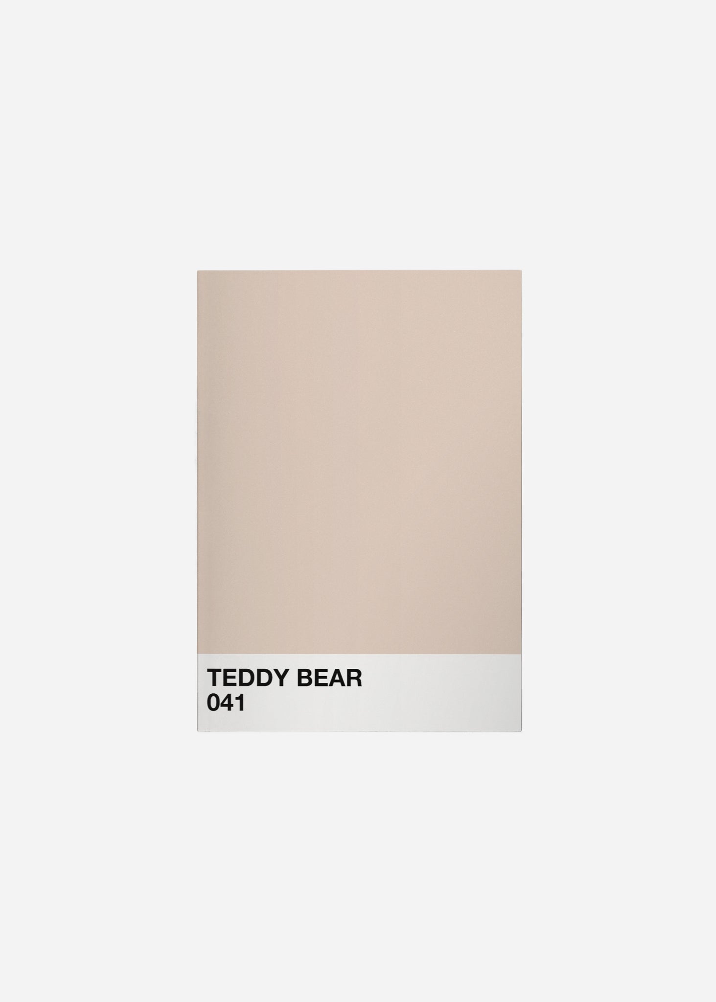 teddy bear Fine Art Print