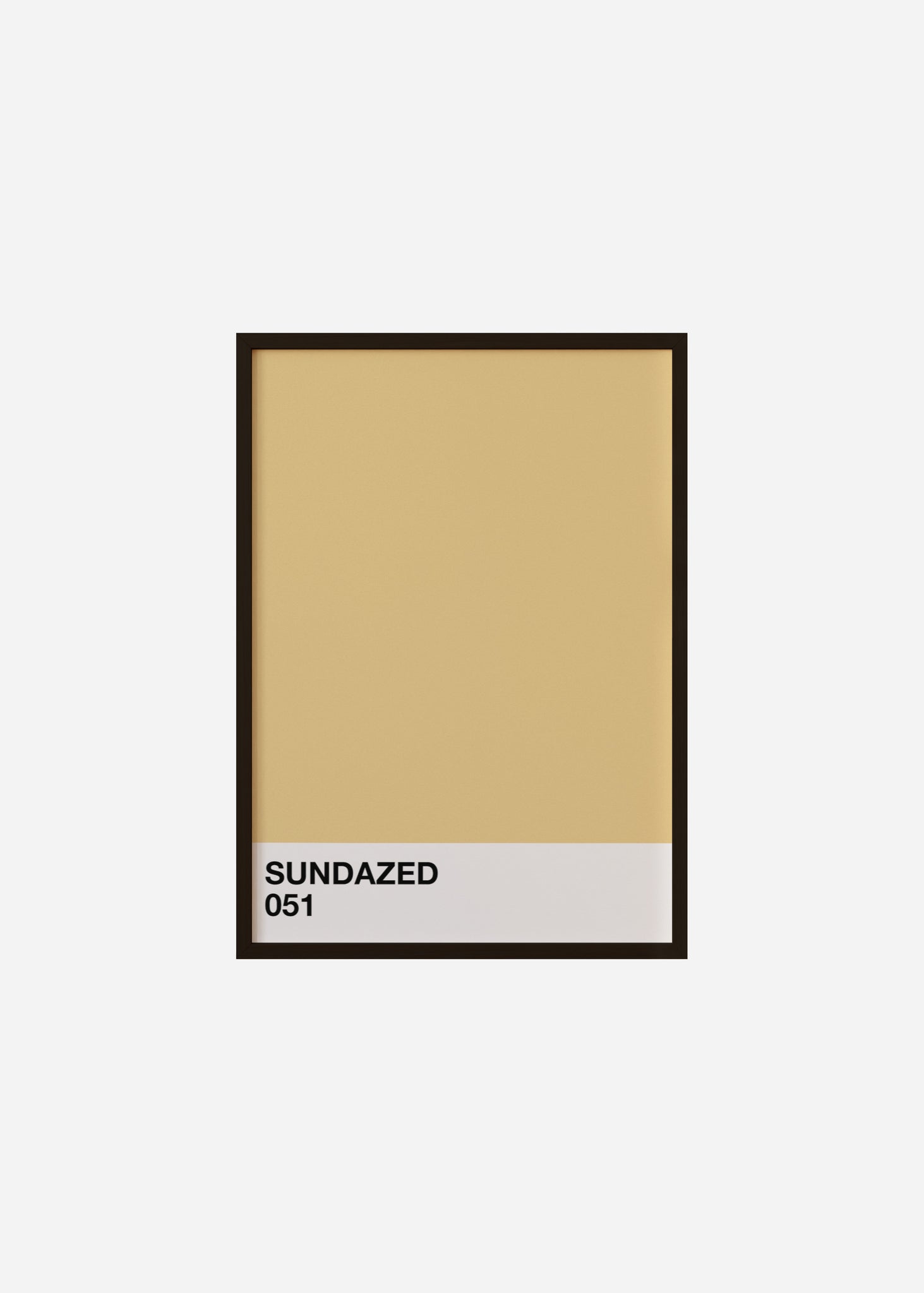 sundazed Framed Print
