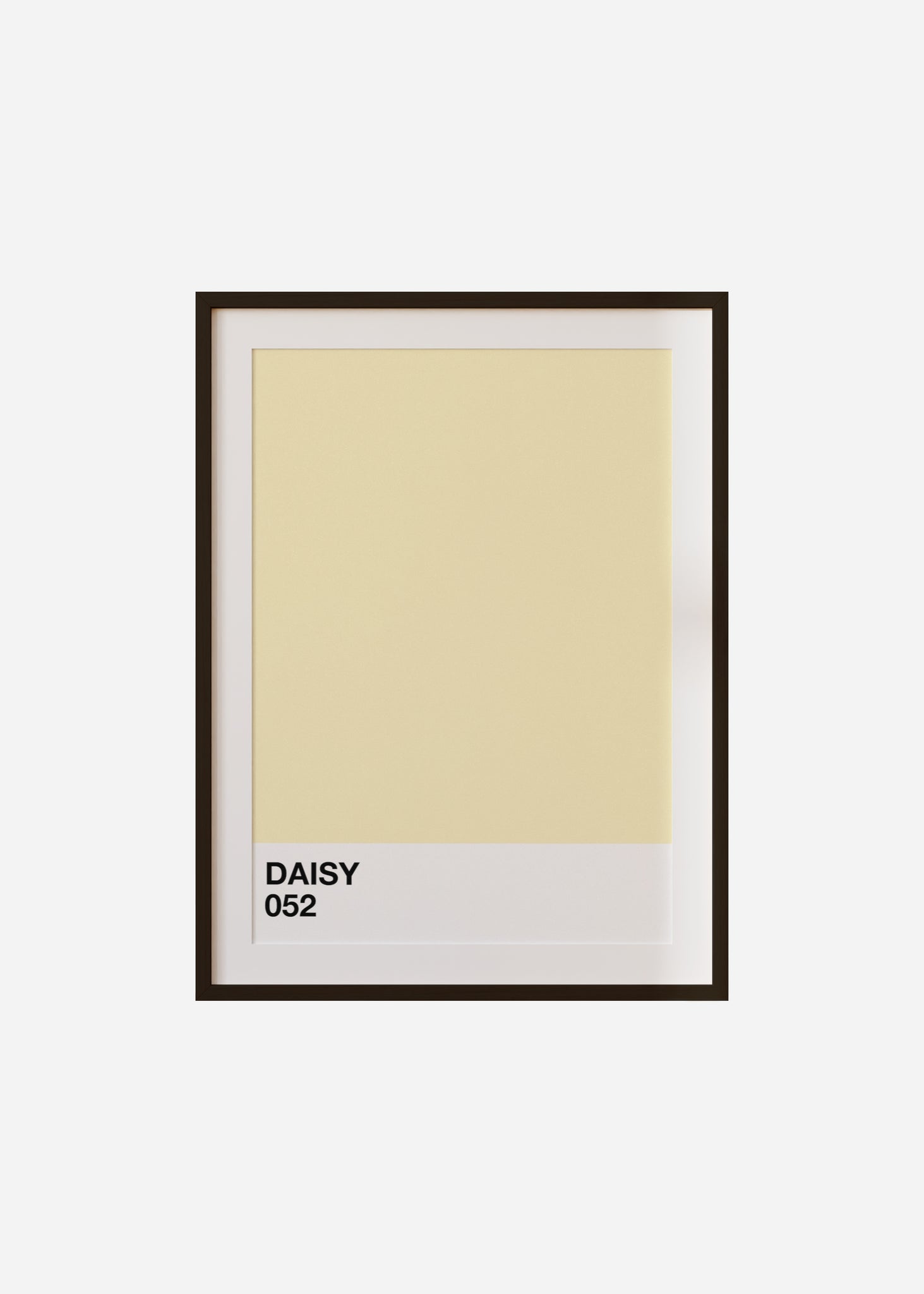 Daisy Framed & Mounted Print