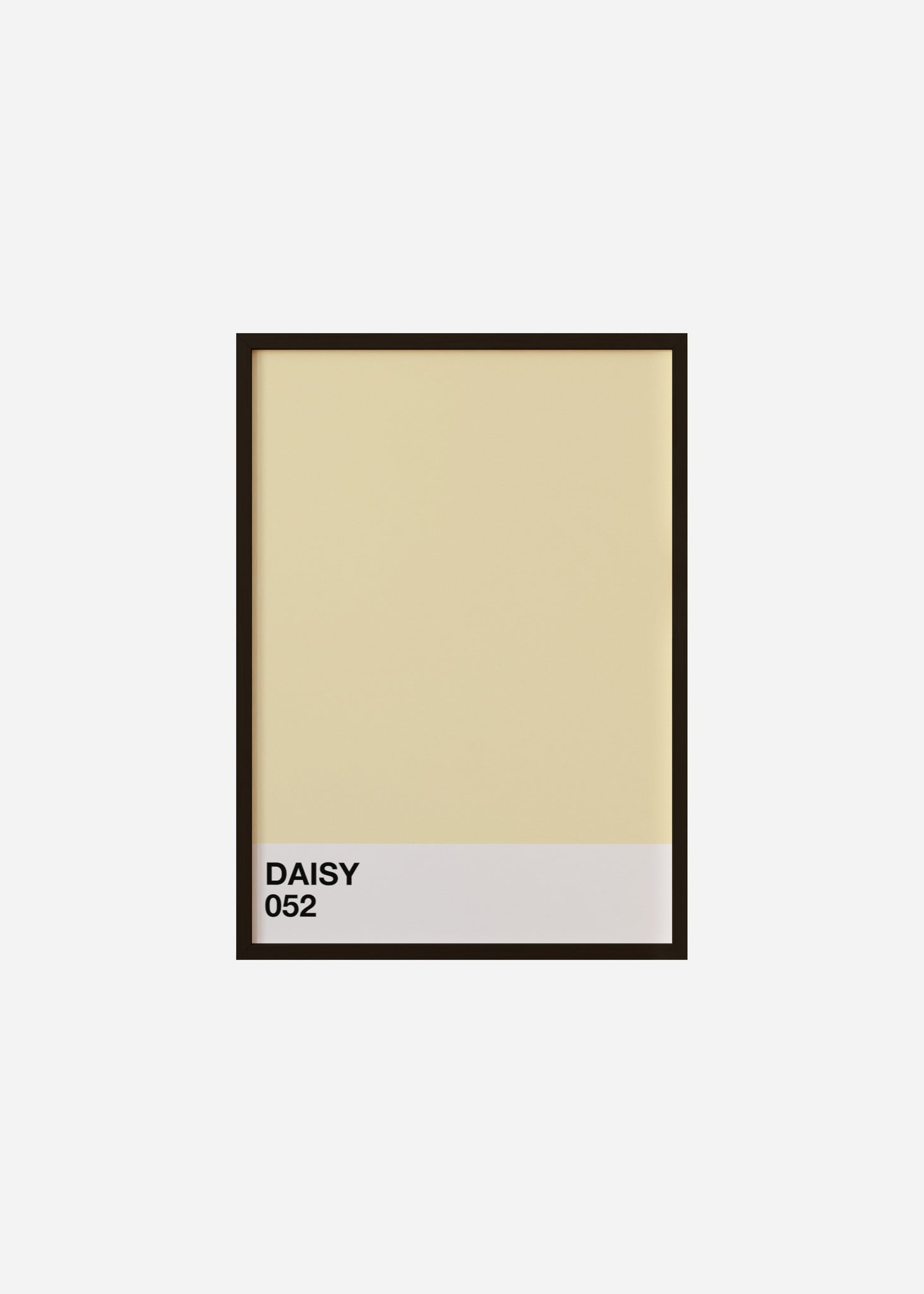Daisy Framed Print