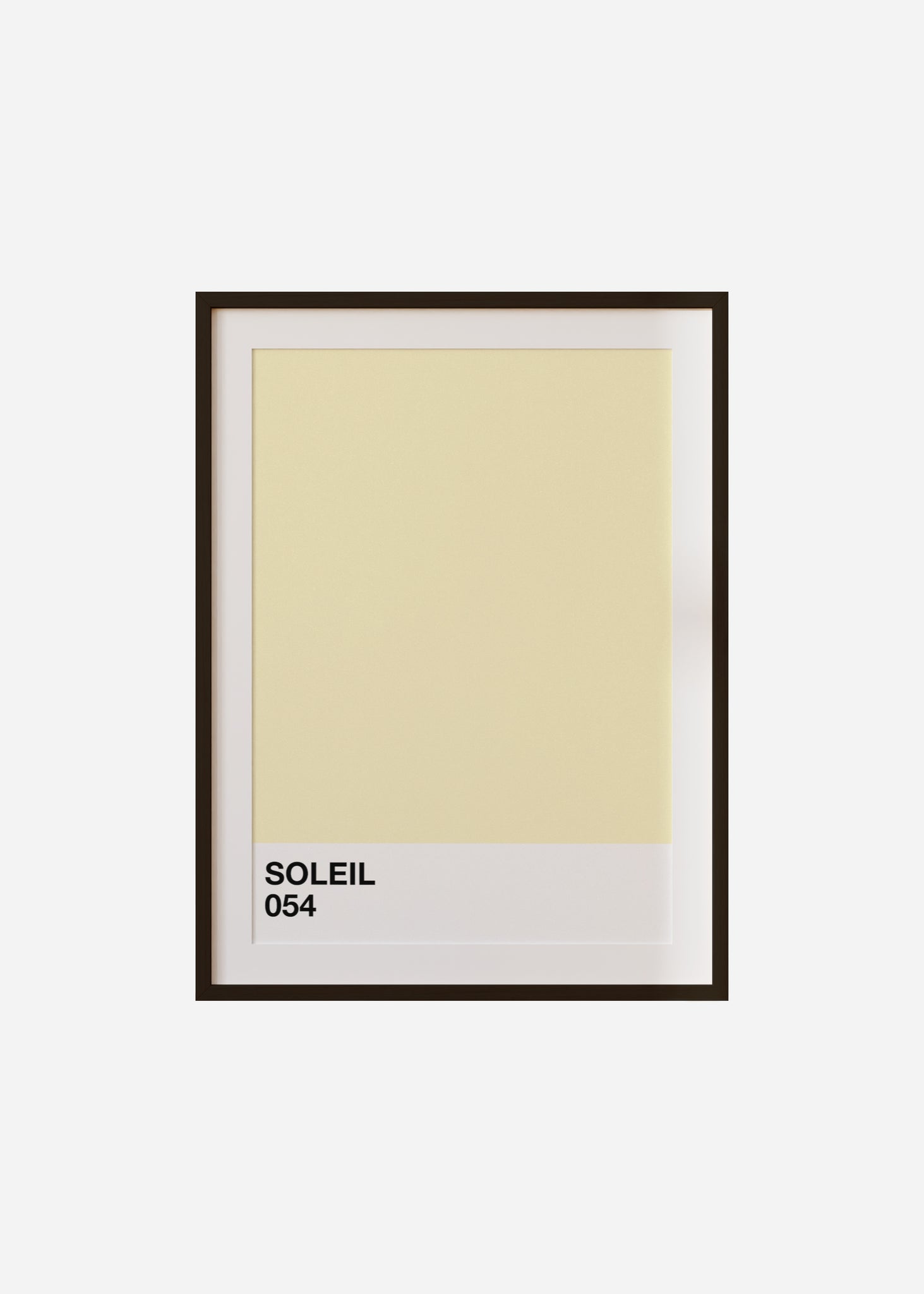 Soleil Framed & Mounted Print