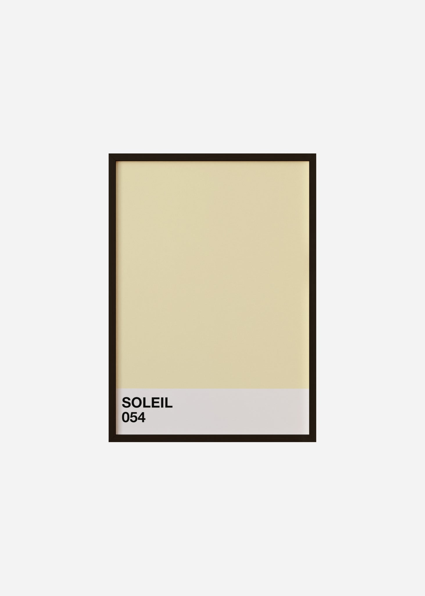 Soleil Framed Print