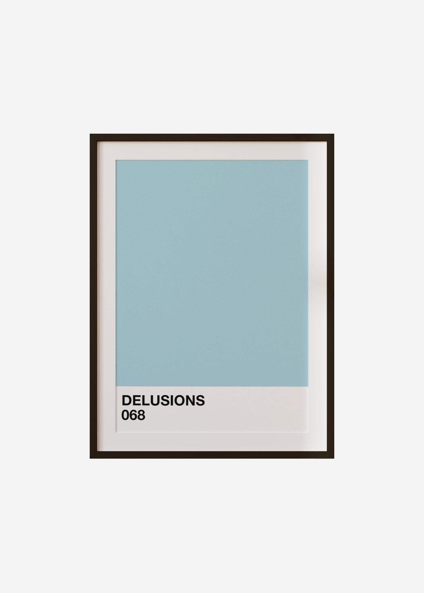 delusions Framed & Mounted Print
