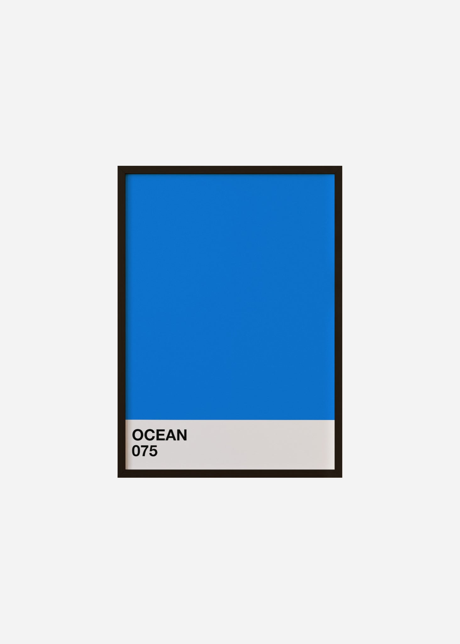 ocean Framed Print