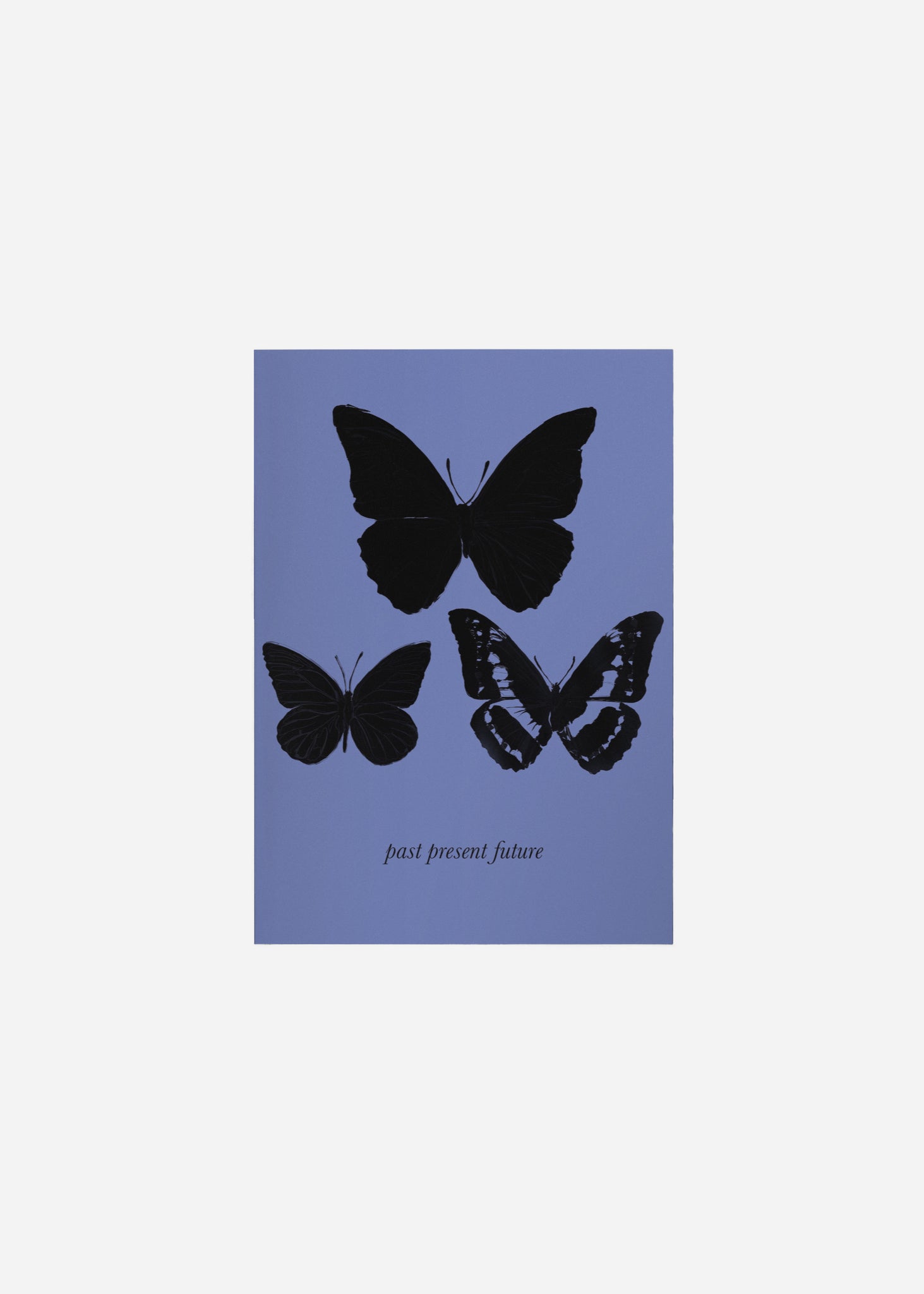 The Butterfly Effect / Past Present Future Fine Art Print