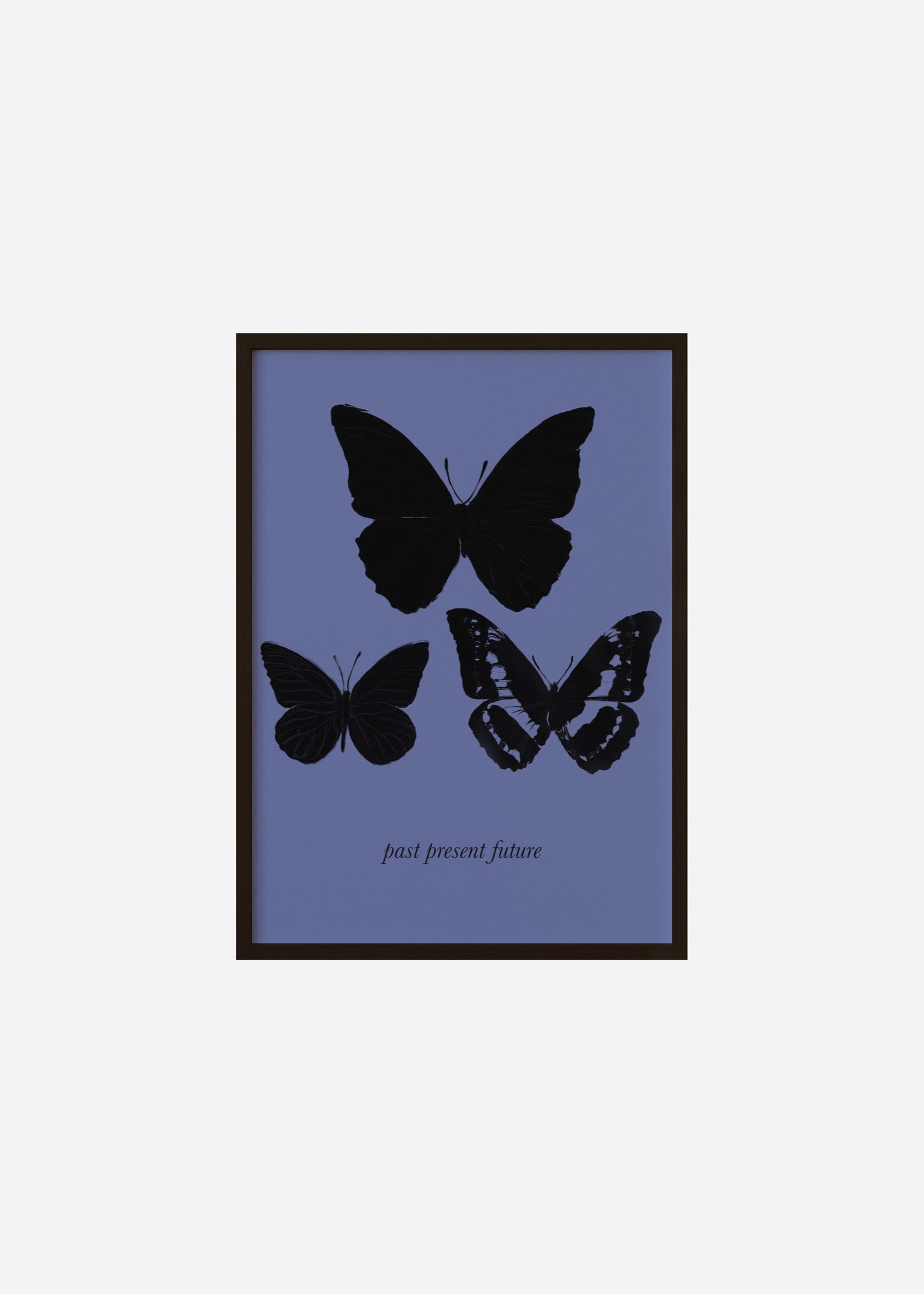 The Butterfly Effect / Past Present Future Framed Print