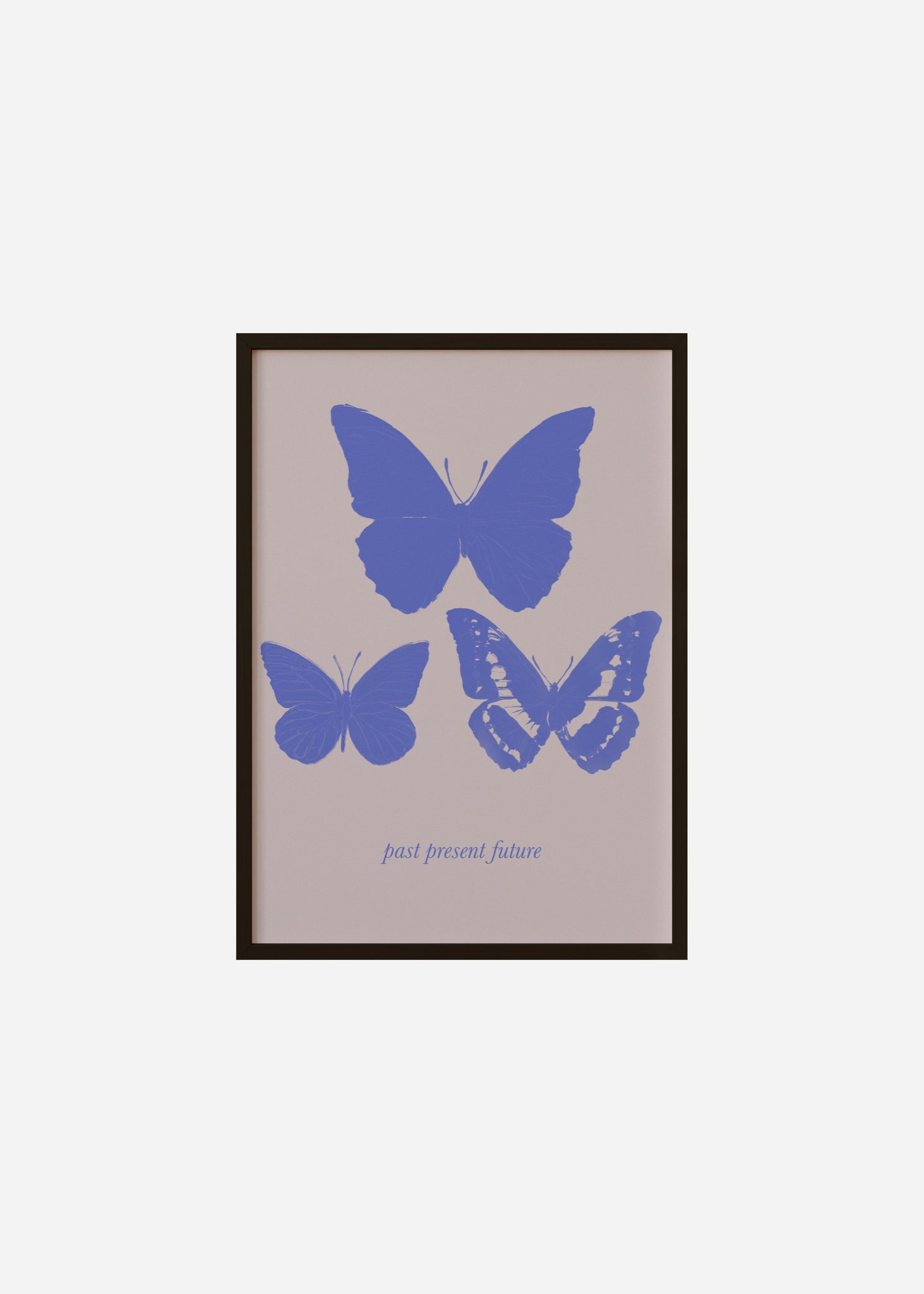 The Butterfly Effect / Past Present Future Framed Print