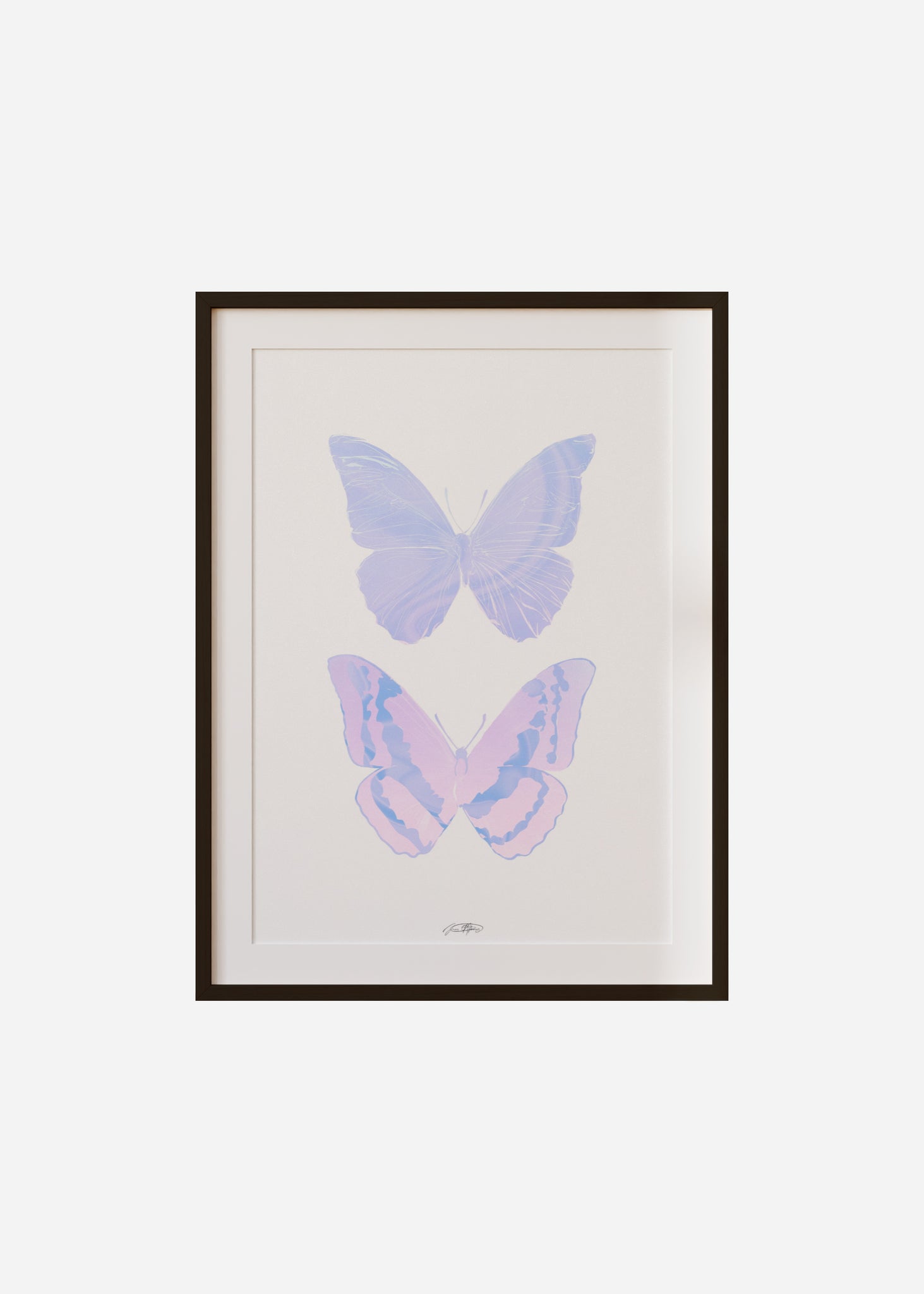 Life After Death / Twin Butterflies Framed & Mounted Print