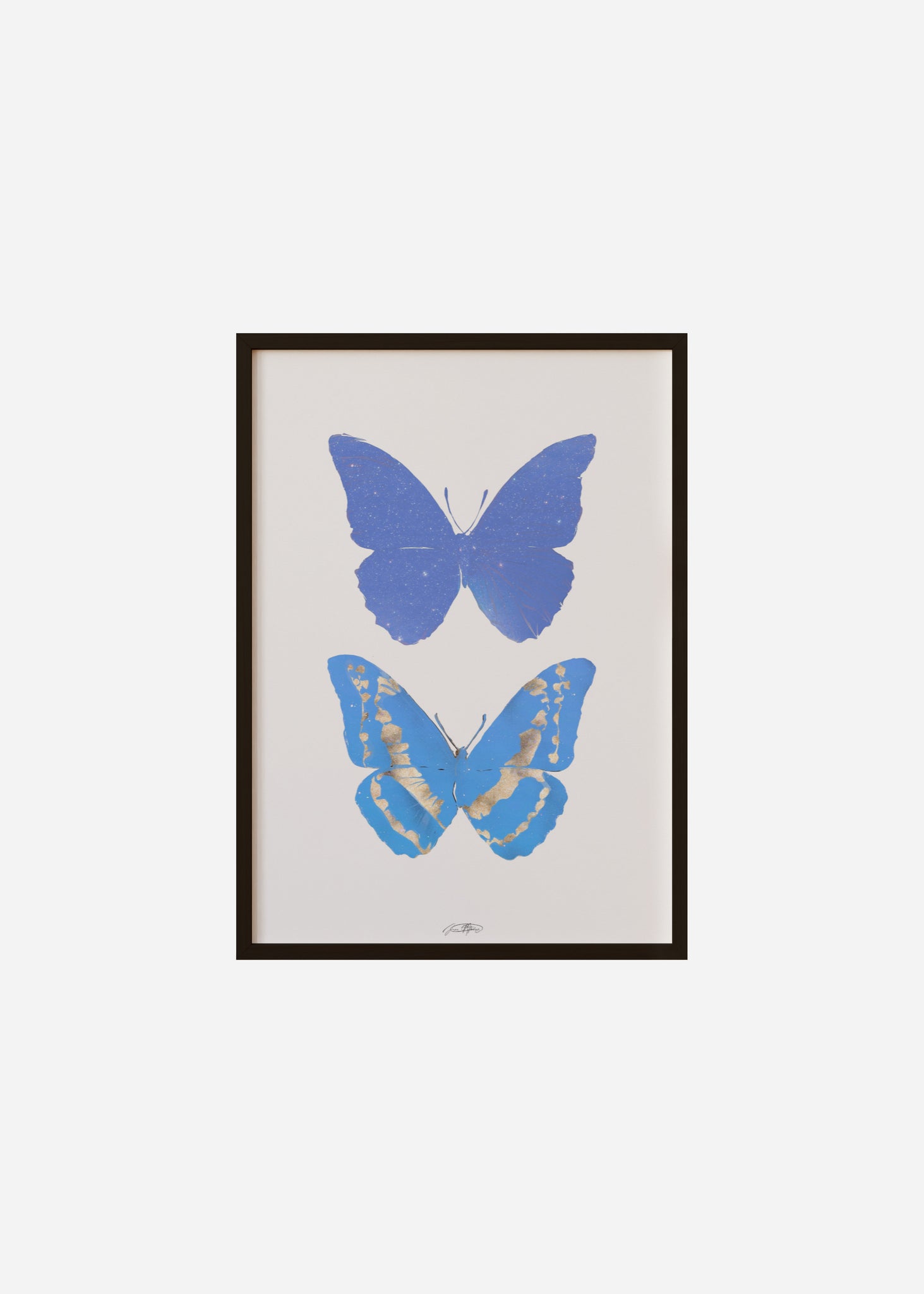Life After Death / Twin Butterflies Framed Print