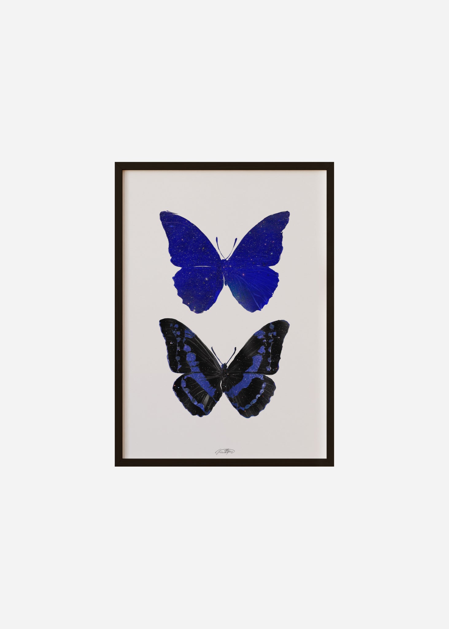 Life After Death / Twin Butterflies Framed Print