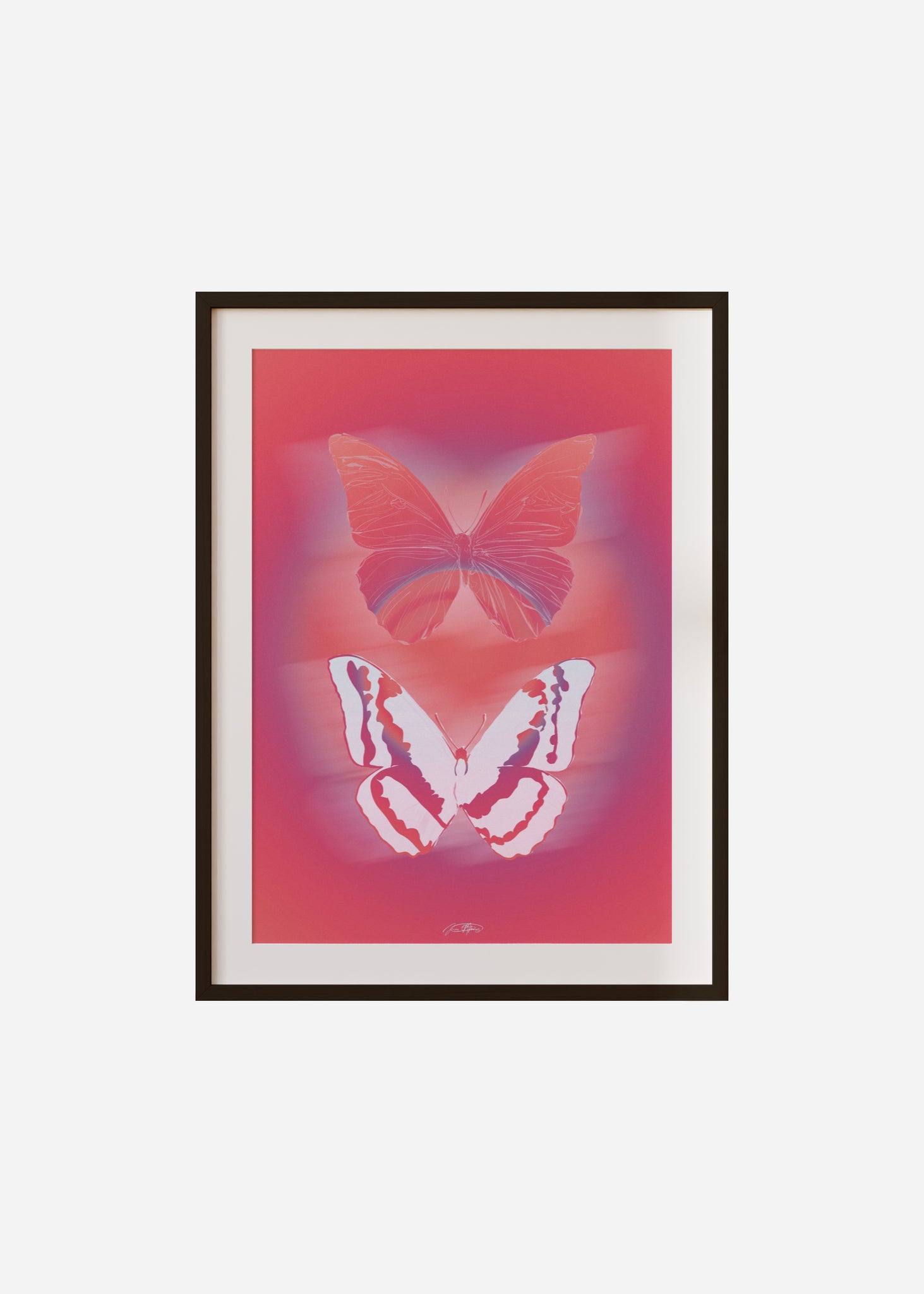 Life After Death / Twin Butterflies Framed & Mounted Print