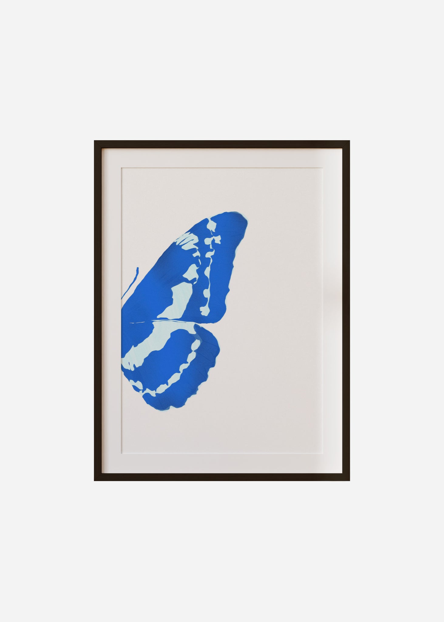 Butterfly Wings / Blue Morpho 2/2 Framed & Mounted Print