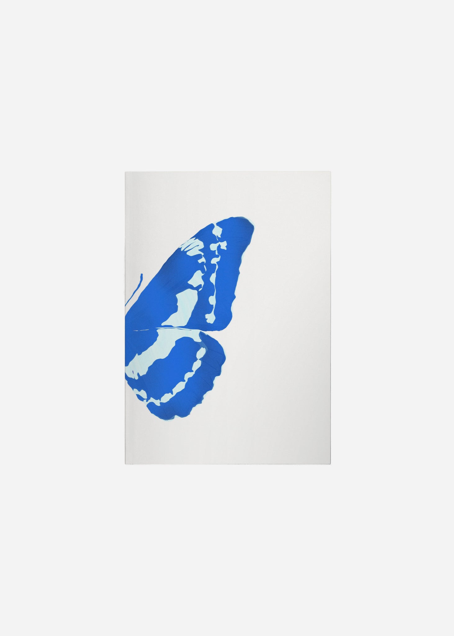 Butterfly Wings / Blue Morpho 2/2 Fine Art Print