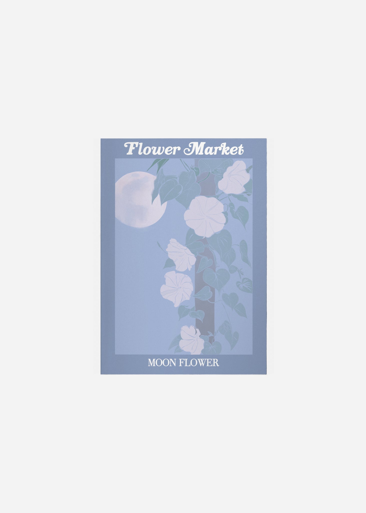 flower market / moon flower Fine Art Print