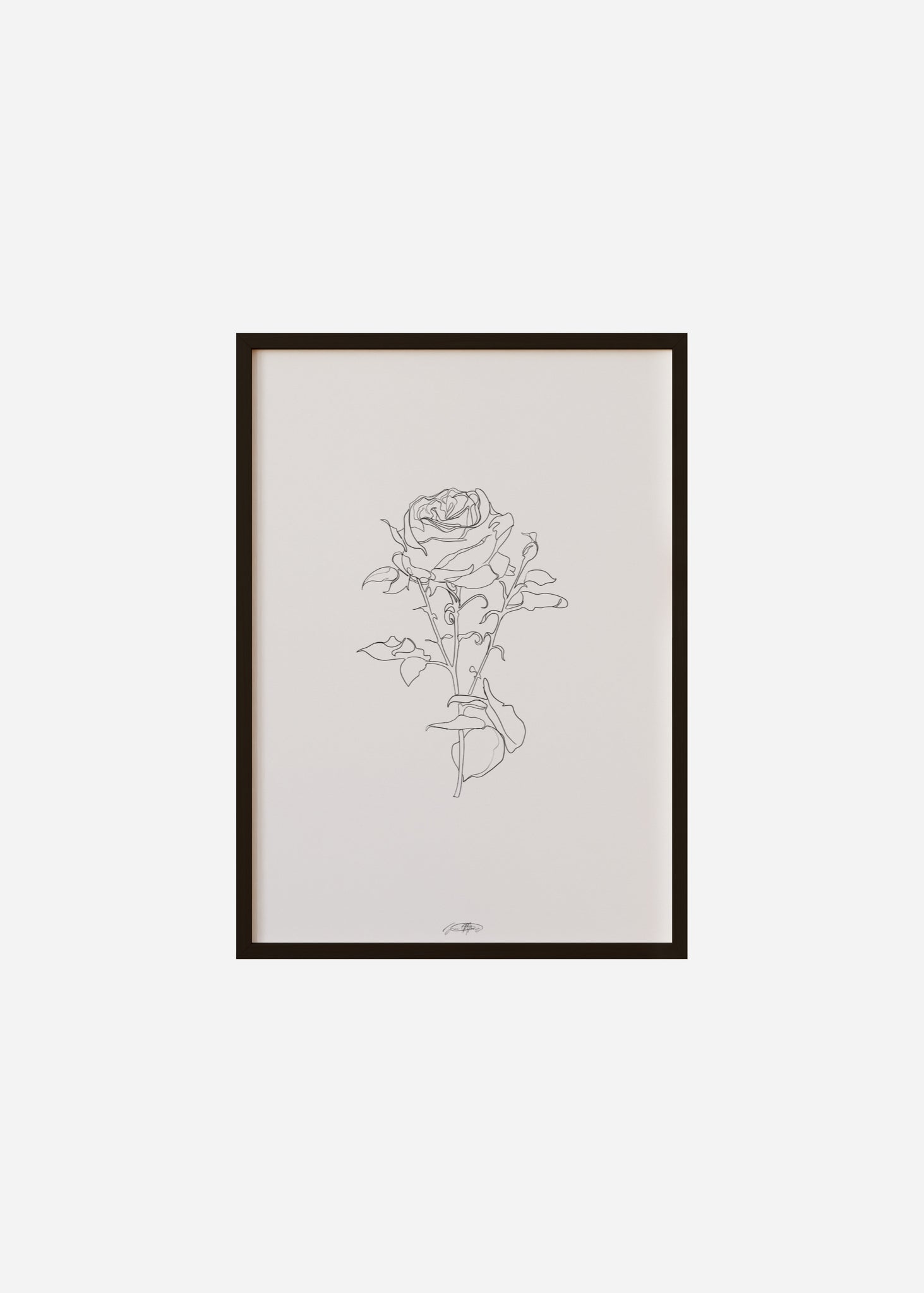 rose / line art n.14 Framed Print