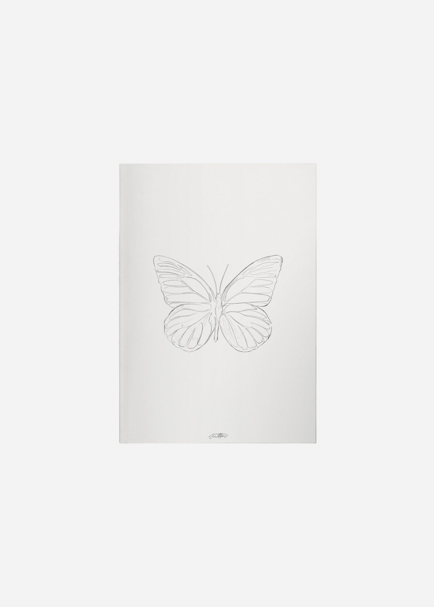 papillon / line art n.20 Fine Art Print
