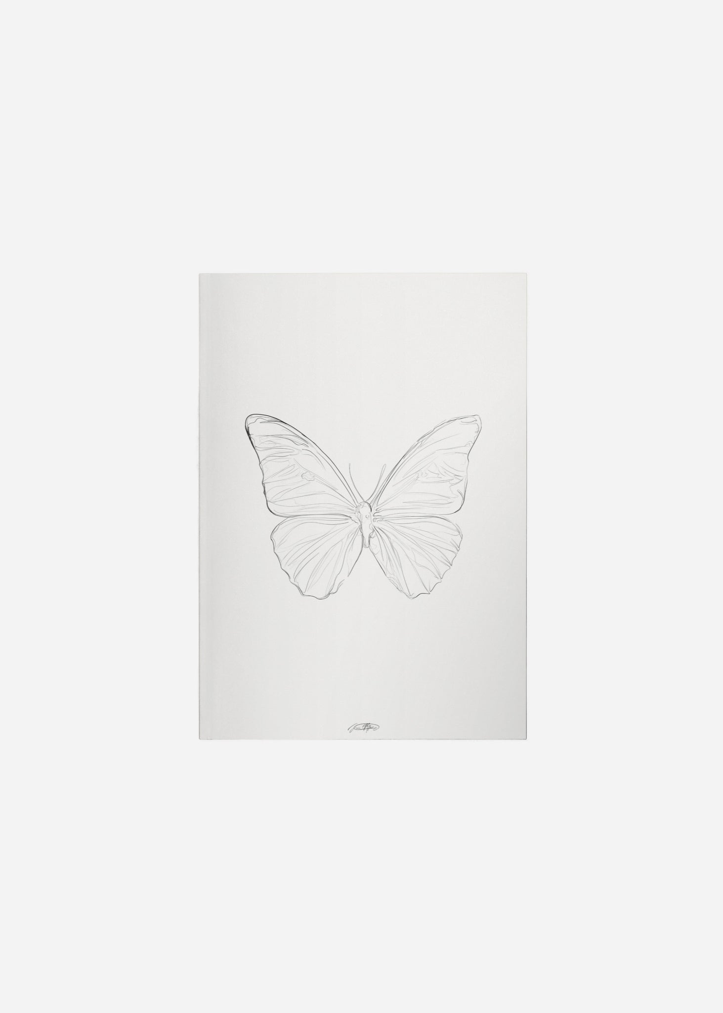 papillon II / line art n.21 Fine Art Print