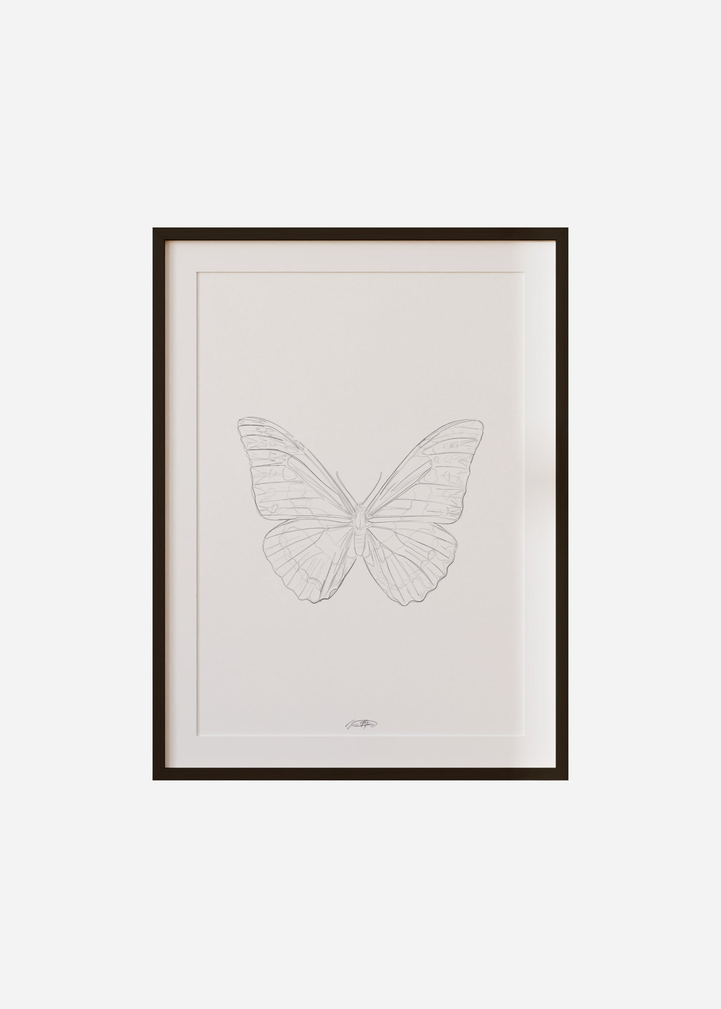 papillon III / line art n.32 Framed & Mounted Print
