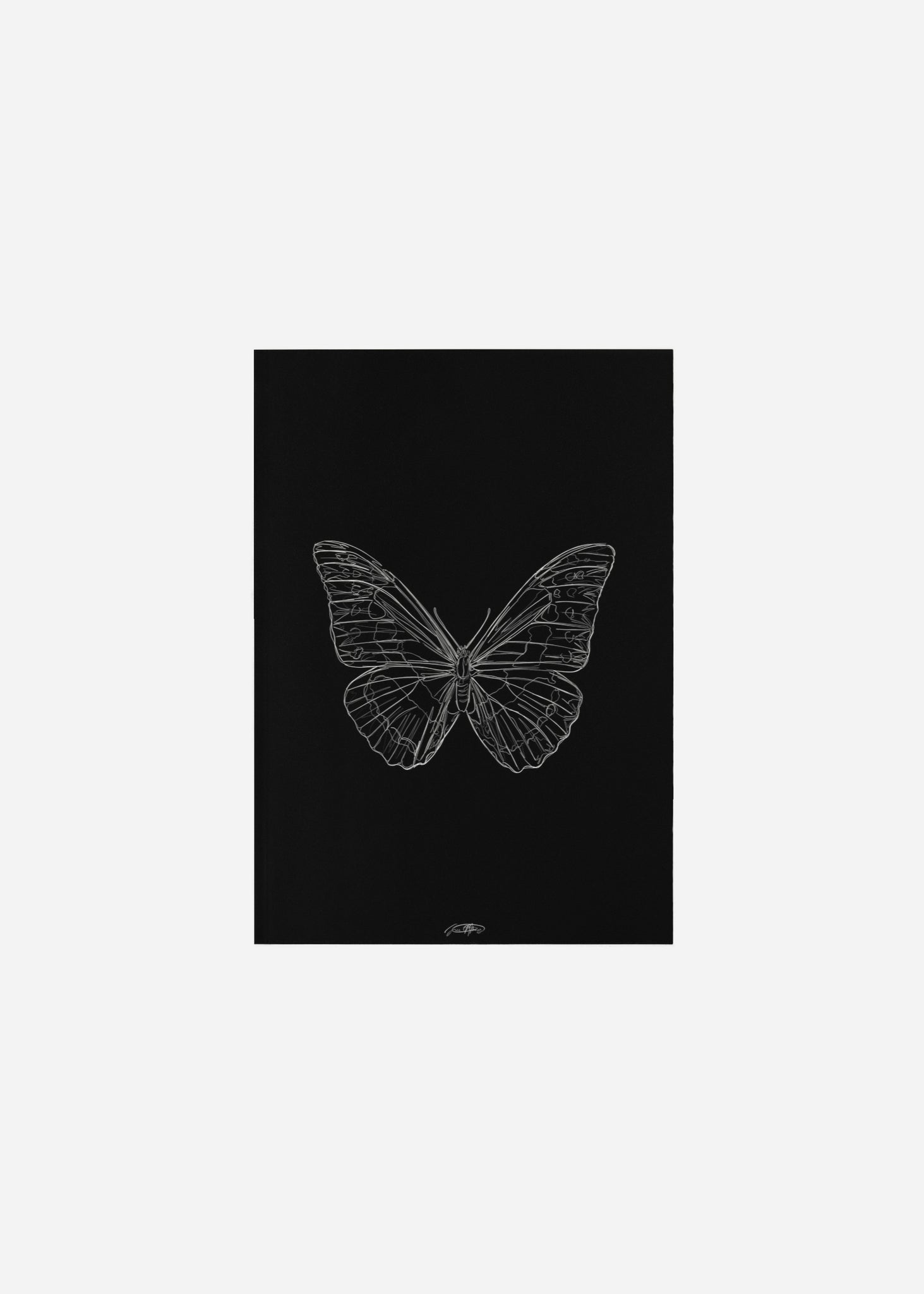 papillon III - noir / line art n.33 Fine Art Print