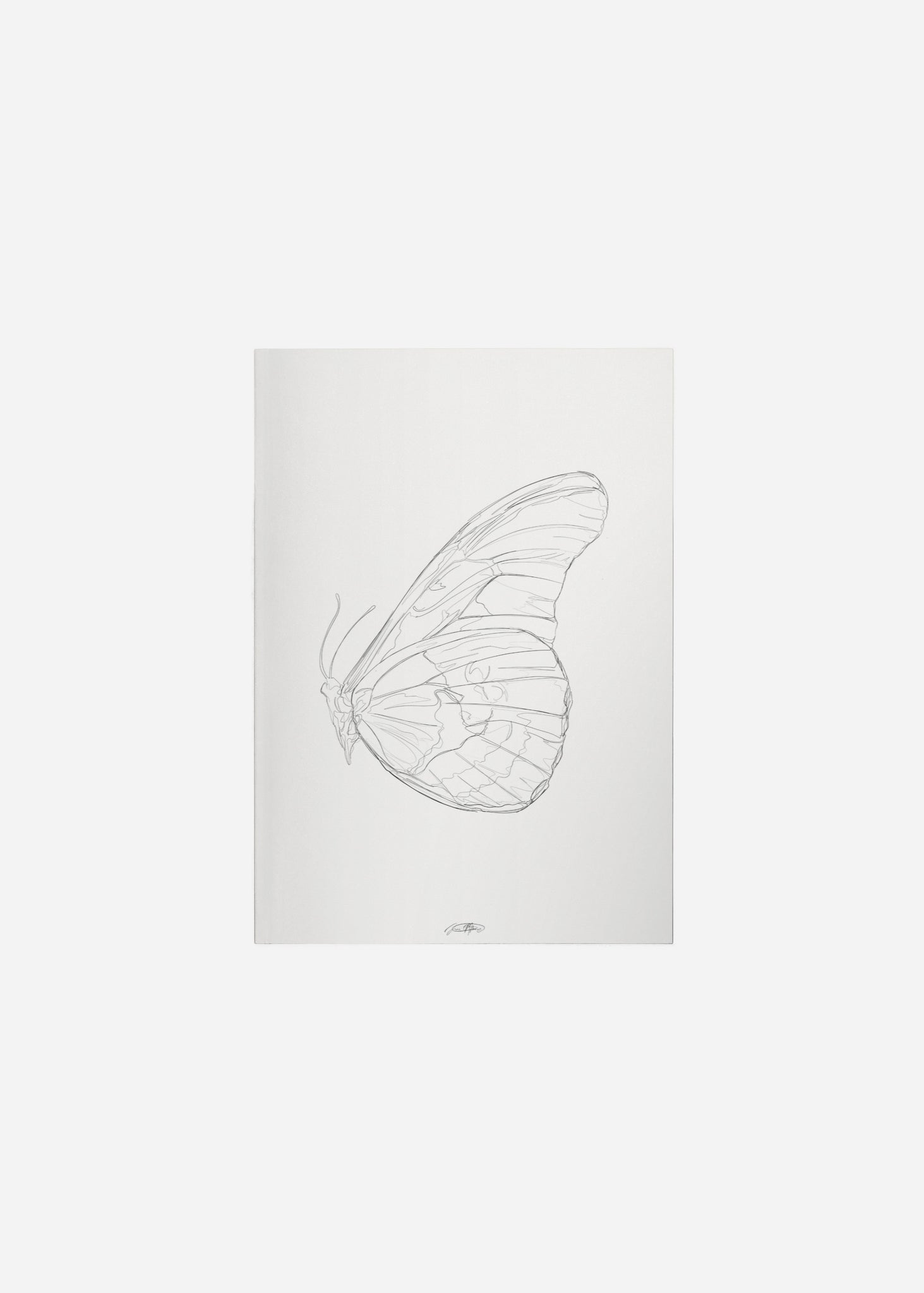 wings / line art n.42 Fine Art Print