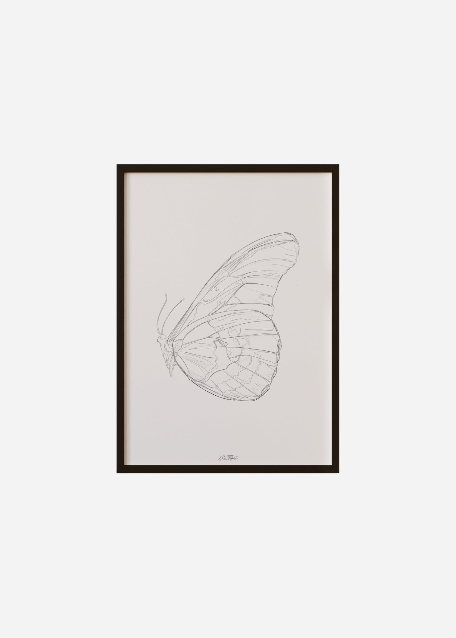 wings / line art n.42 Framed Print