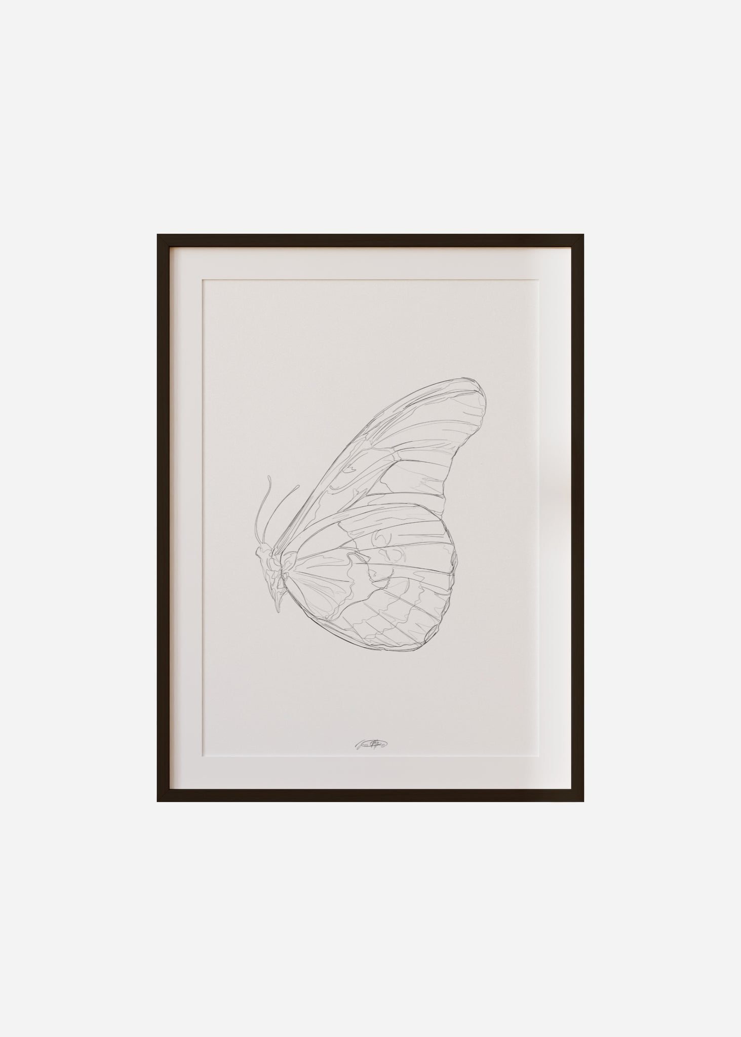 wings / line art n.42 Framed & Mounted Print