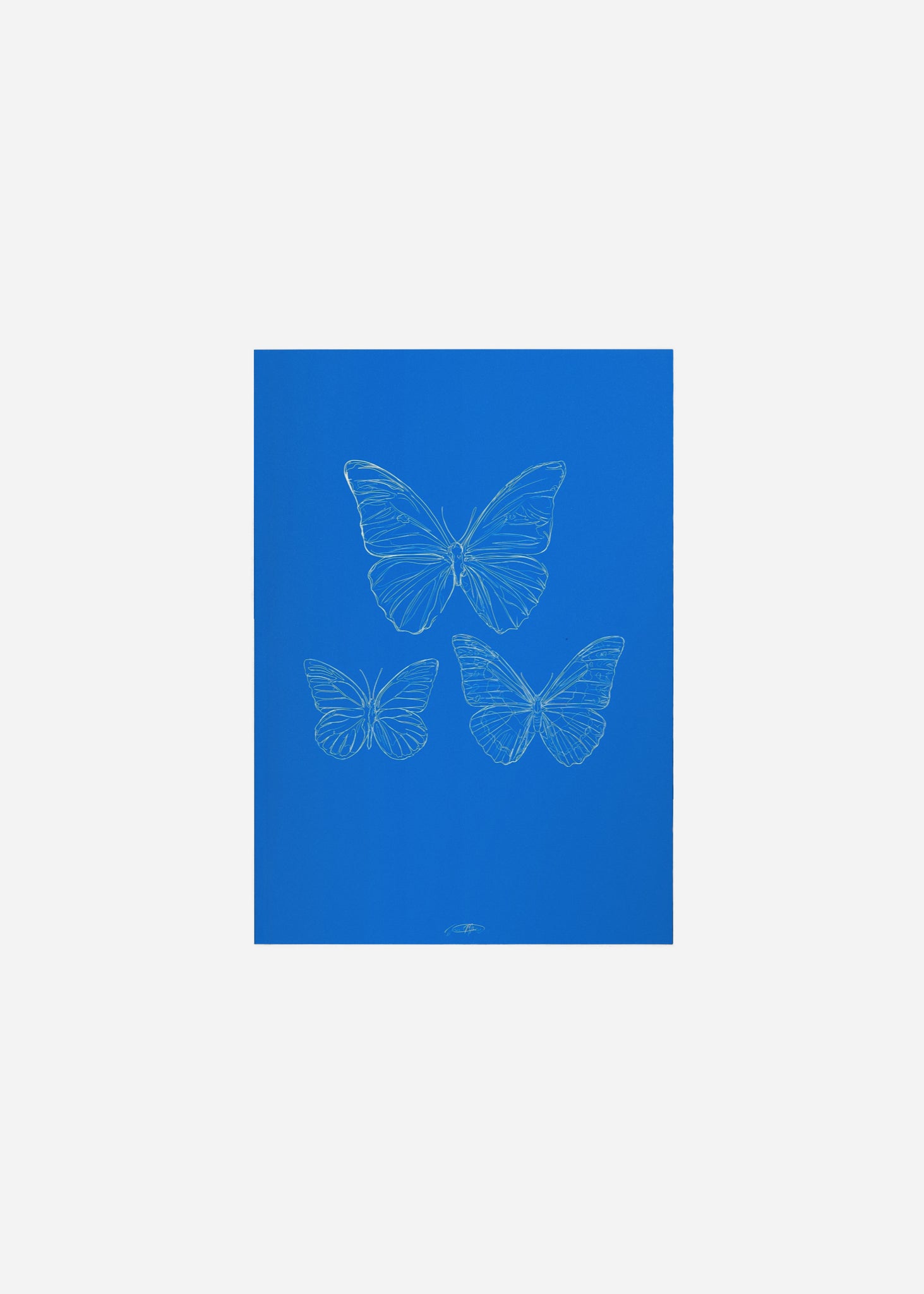 les papillons - blue / line art n.46 Fine Art Print